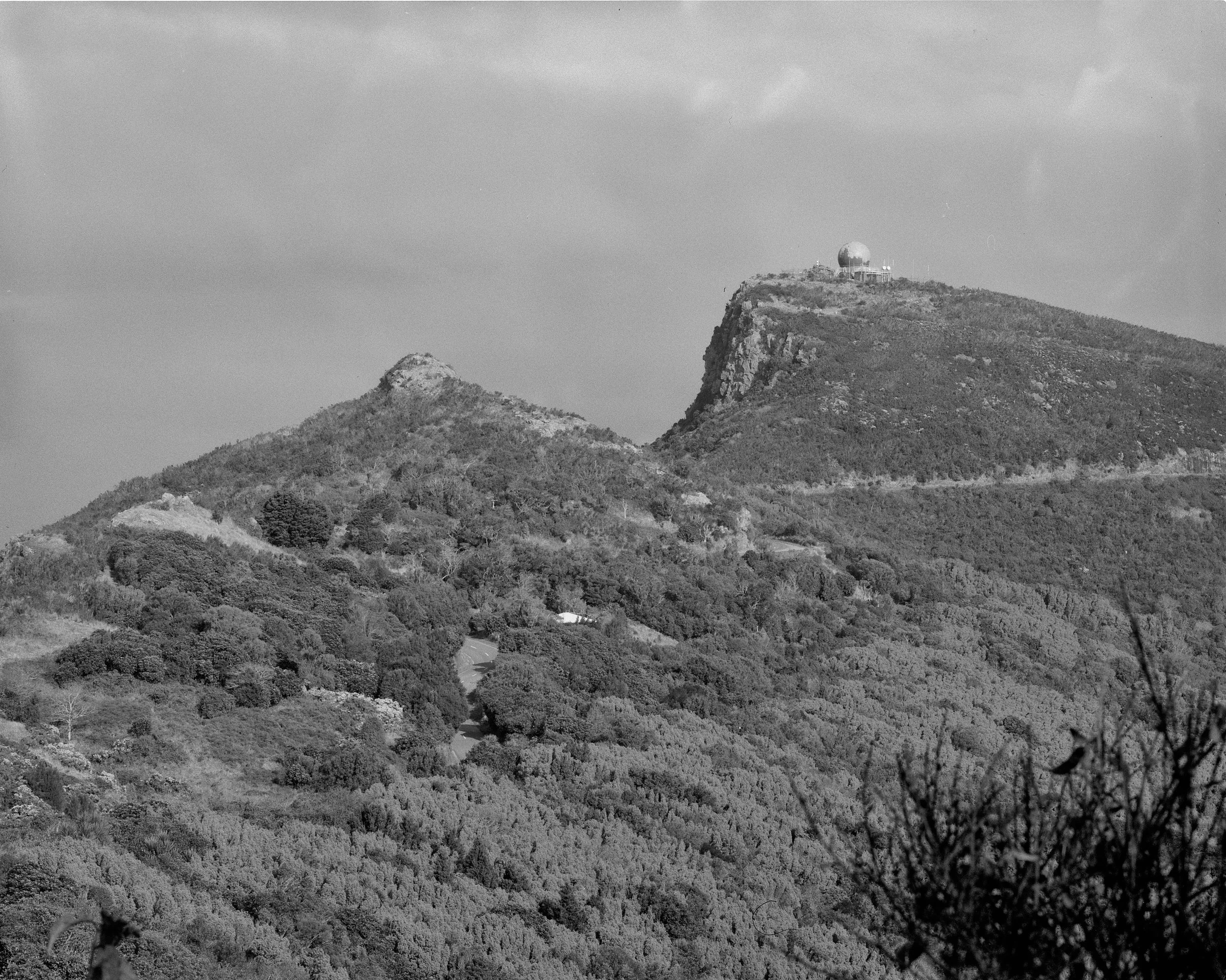 2026-05-13-GorseWorkshop  -024.jpg