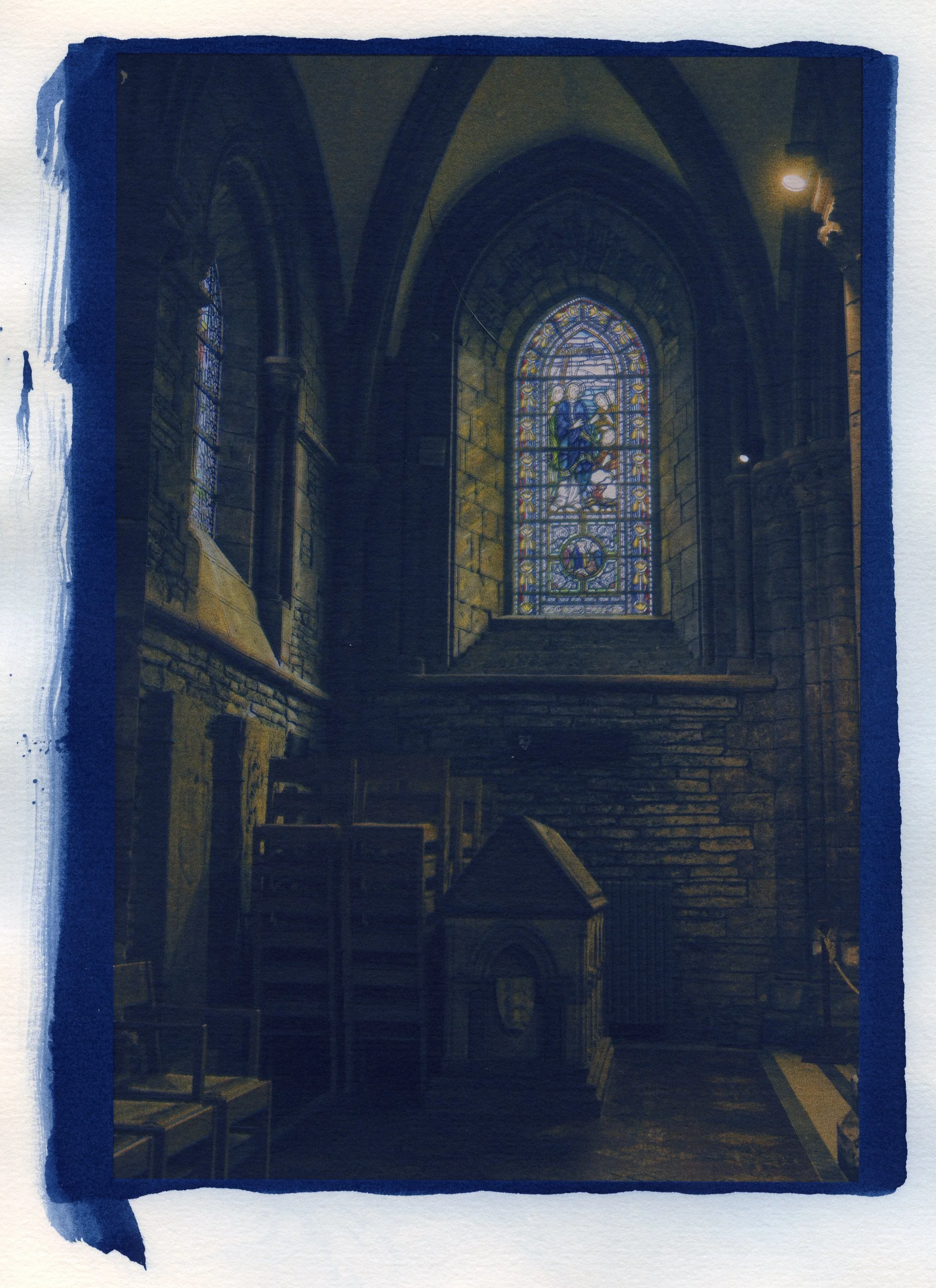 Cyanotype Shadows