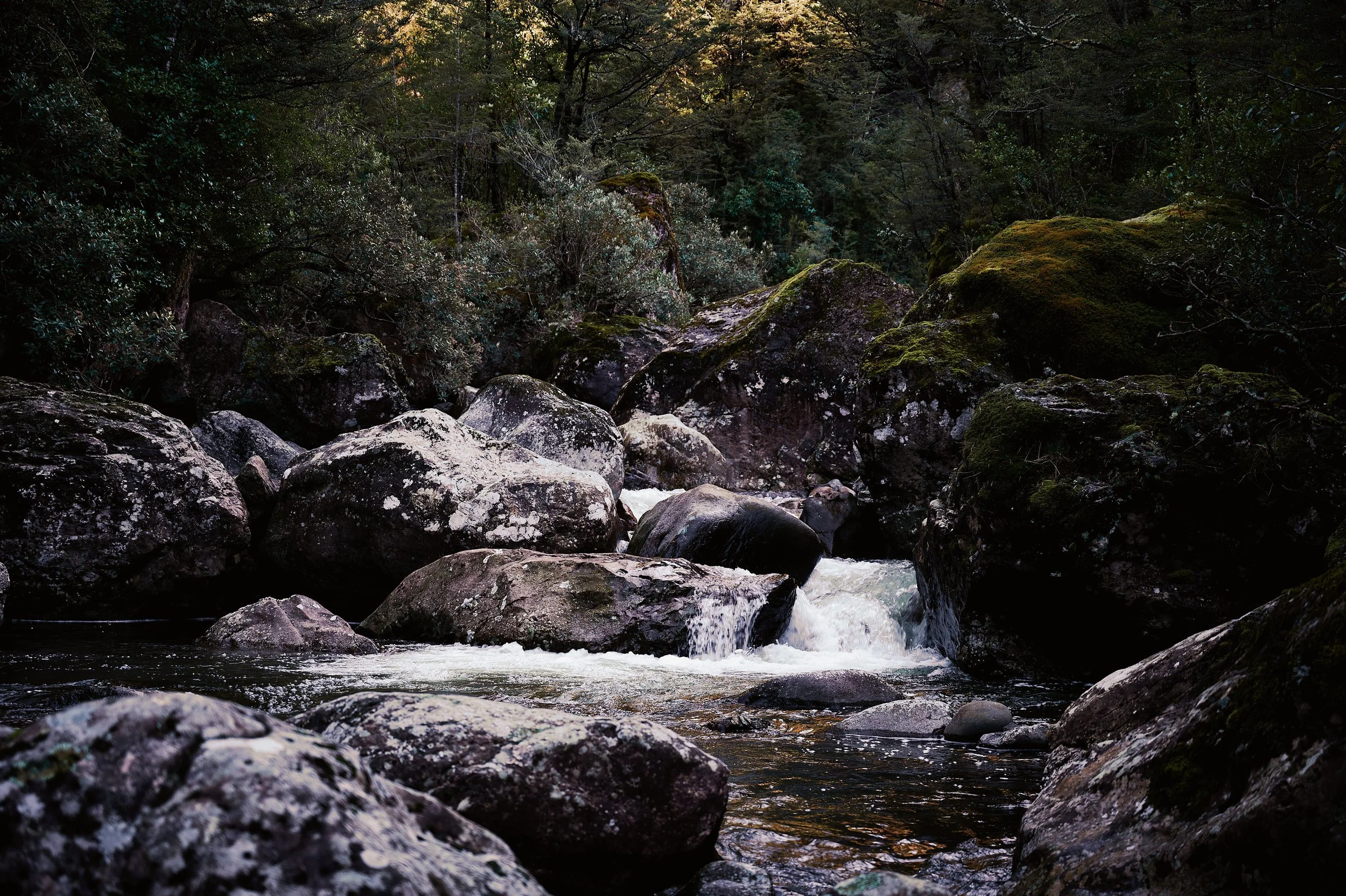 Bowyers Stream