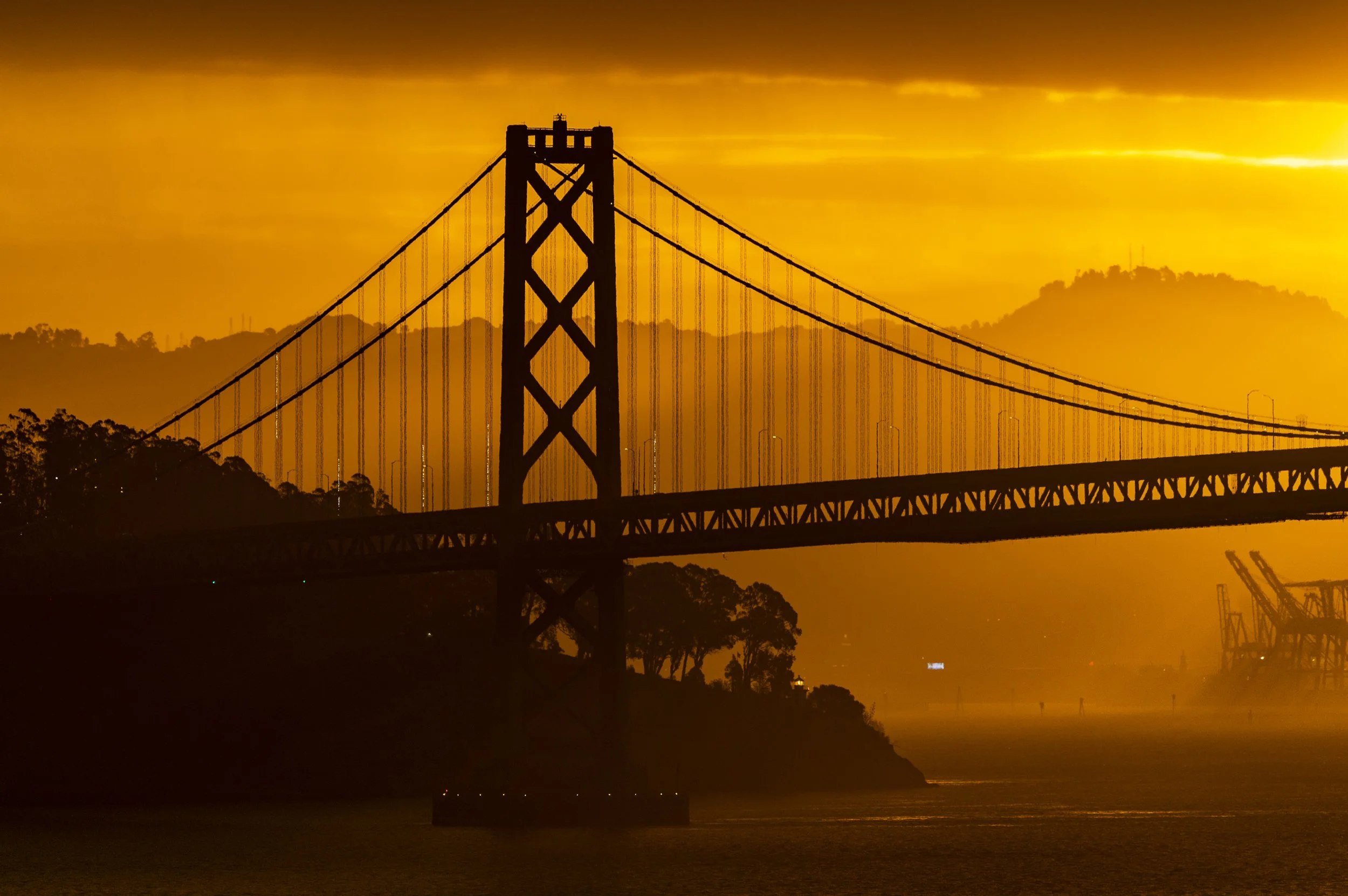 _NZ62555-Enhanced.jpg