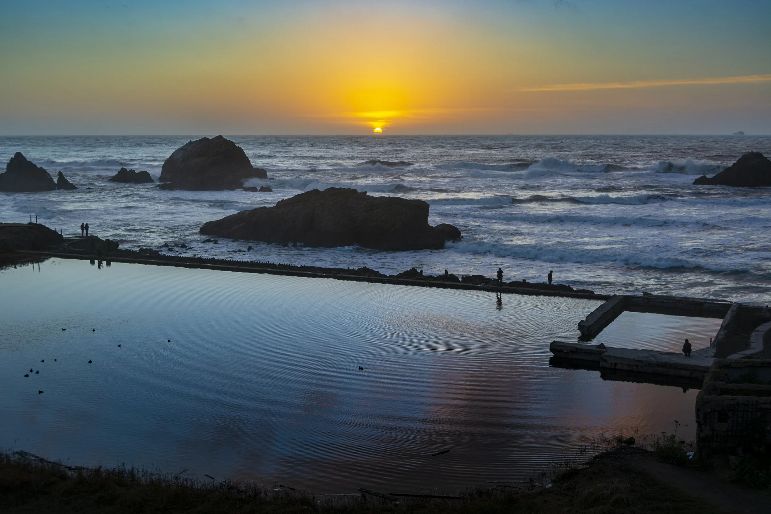 _DSC8273-Enhanced.jpg
