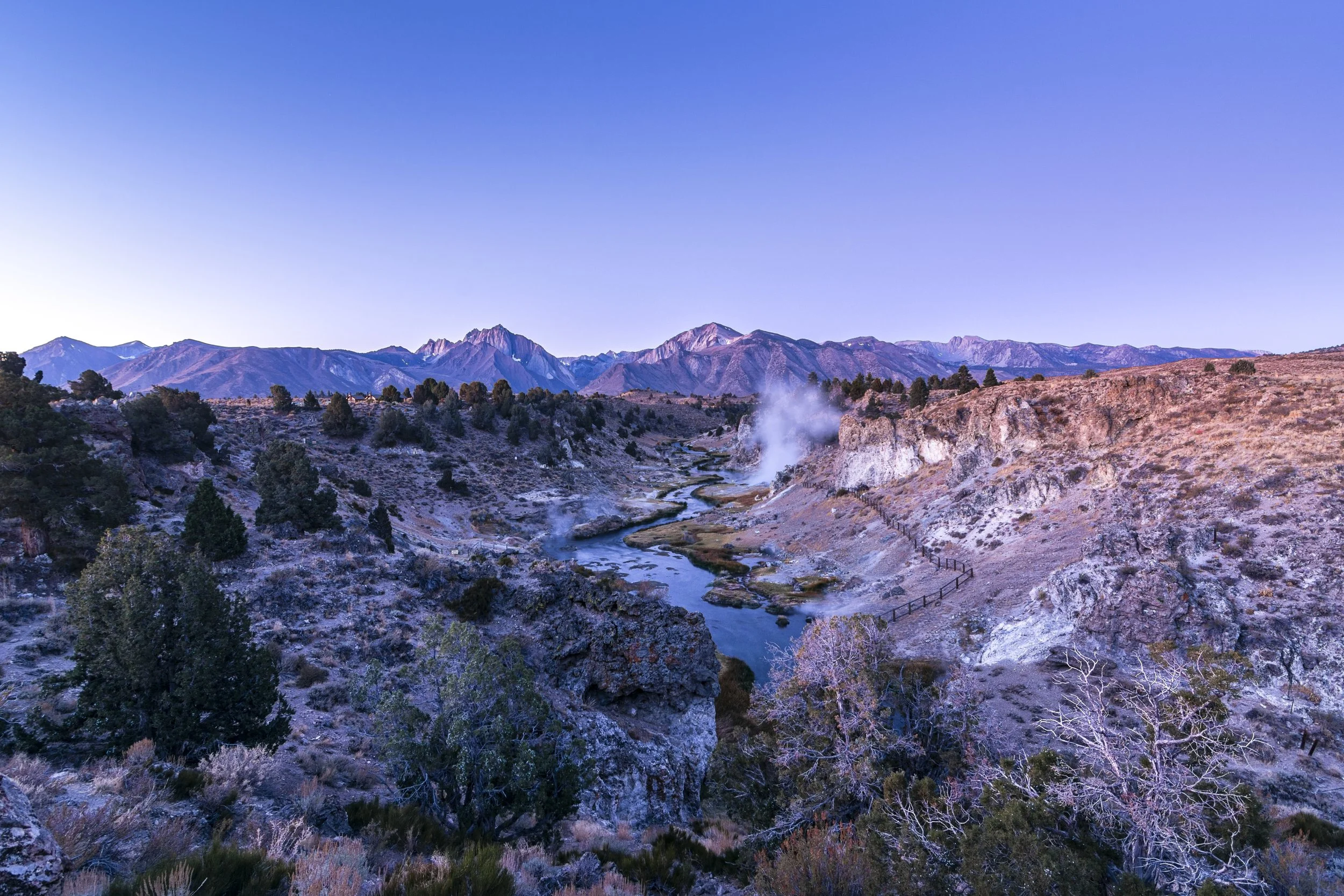 _DSC6531-Enhanced.jpg