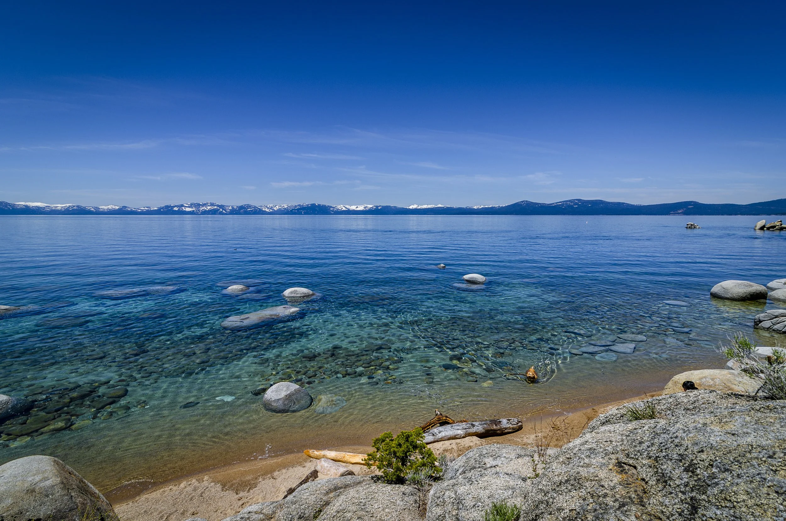 DSC_6211-Enhanced.jpg