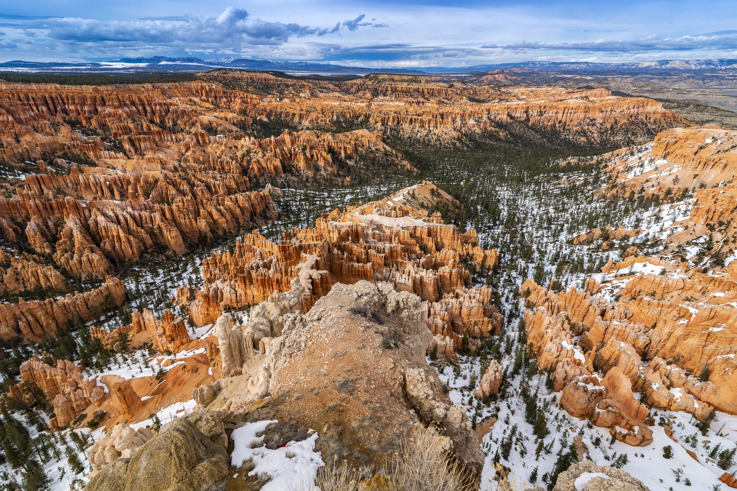 _DSC5266-Enhanced.jpg
