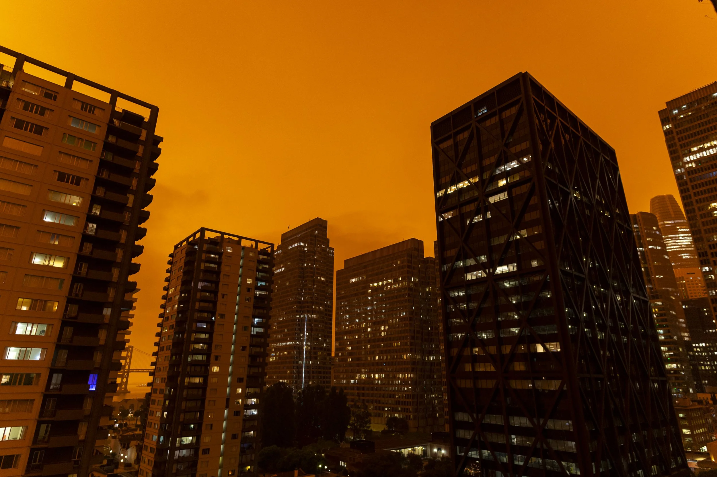 _NZ64296-Enhanced.jpg