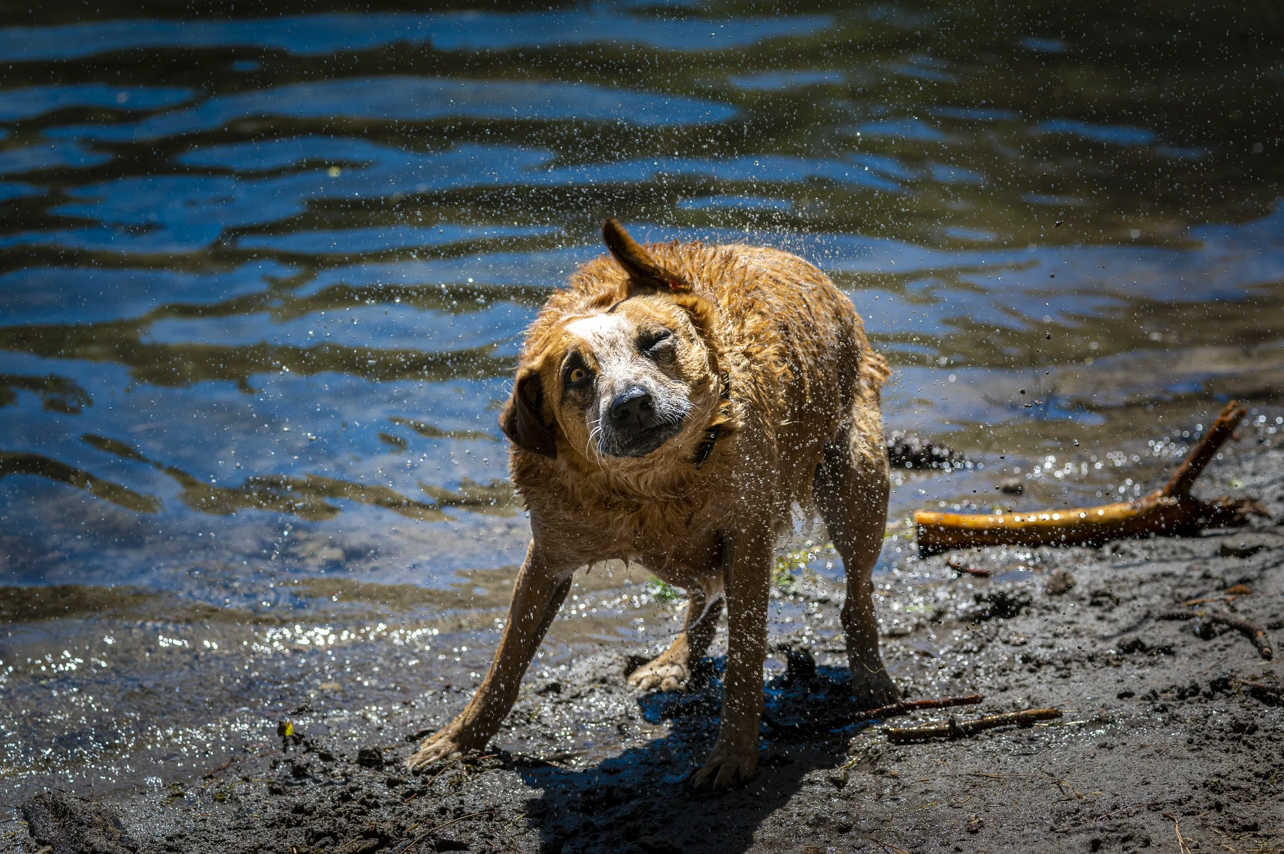 _NZ60819-Enhanced.jpg