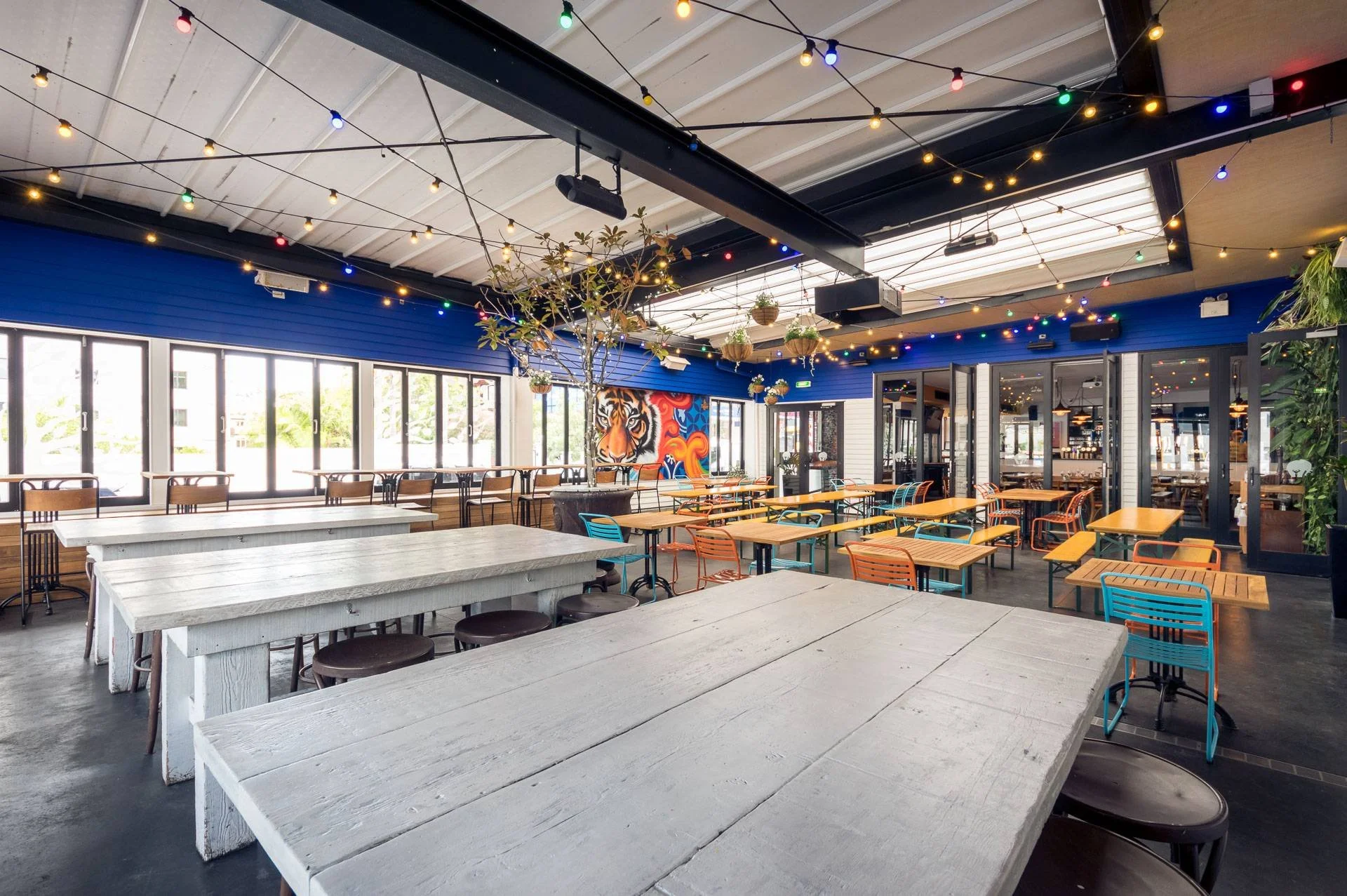 Bright, colorful indoor restaurant with large windows, string lights hanging from the ceiling, and a mural of a tiger on the wall.