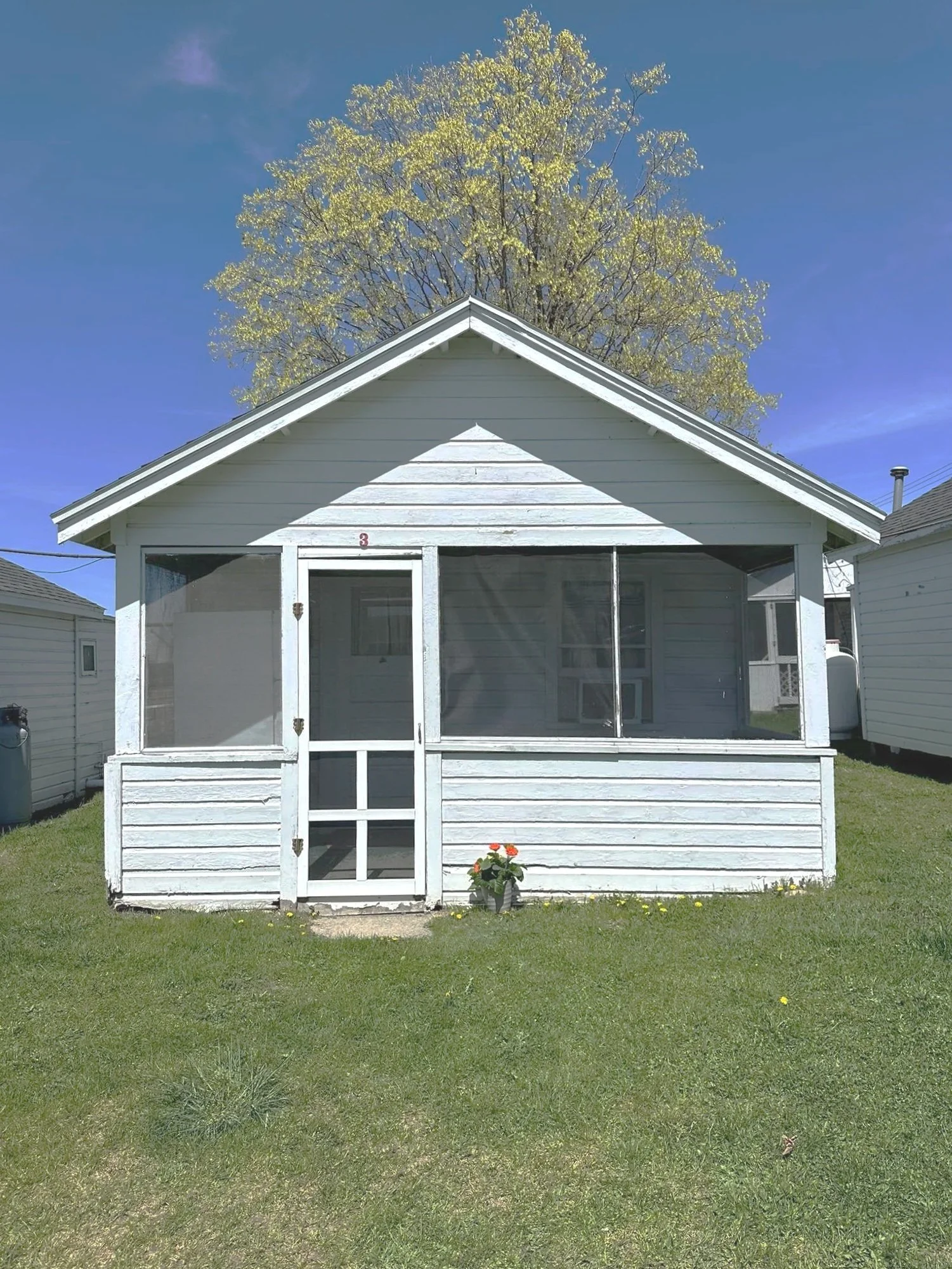 A small white house with a screened porch, a flower pot with orange flowers in front, green grass, and a large tree behind it with light green leaves under a clear blue sky.