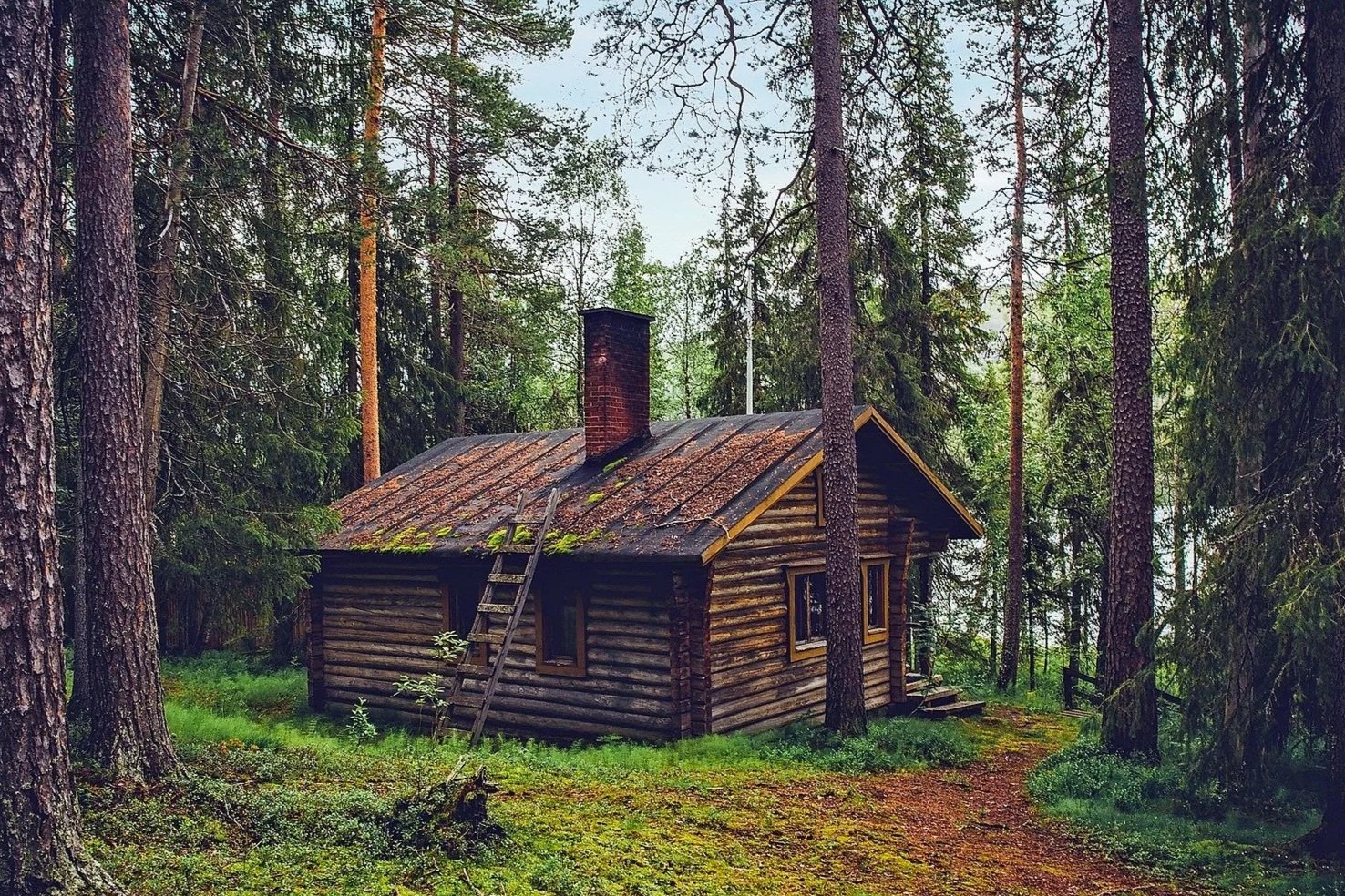 Cliffside Cabins