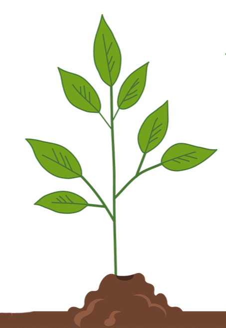 Tier 1: Trailhead Plan