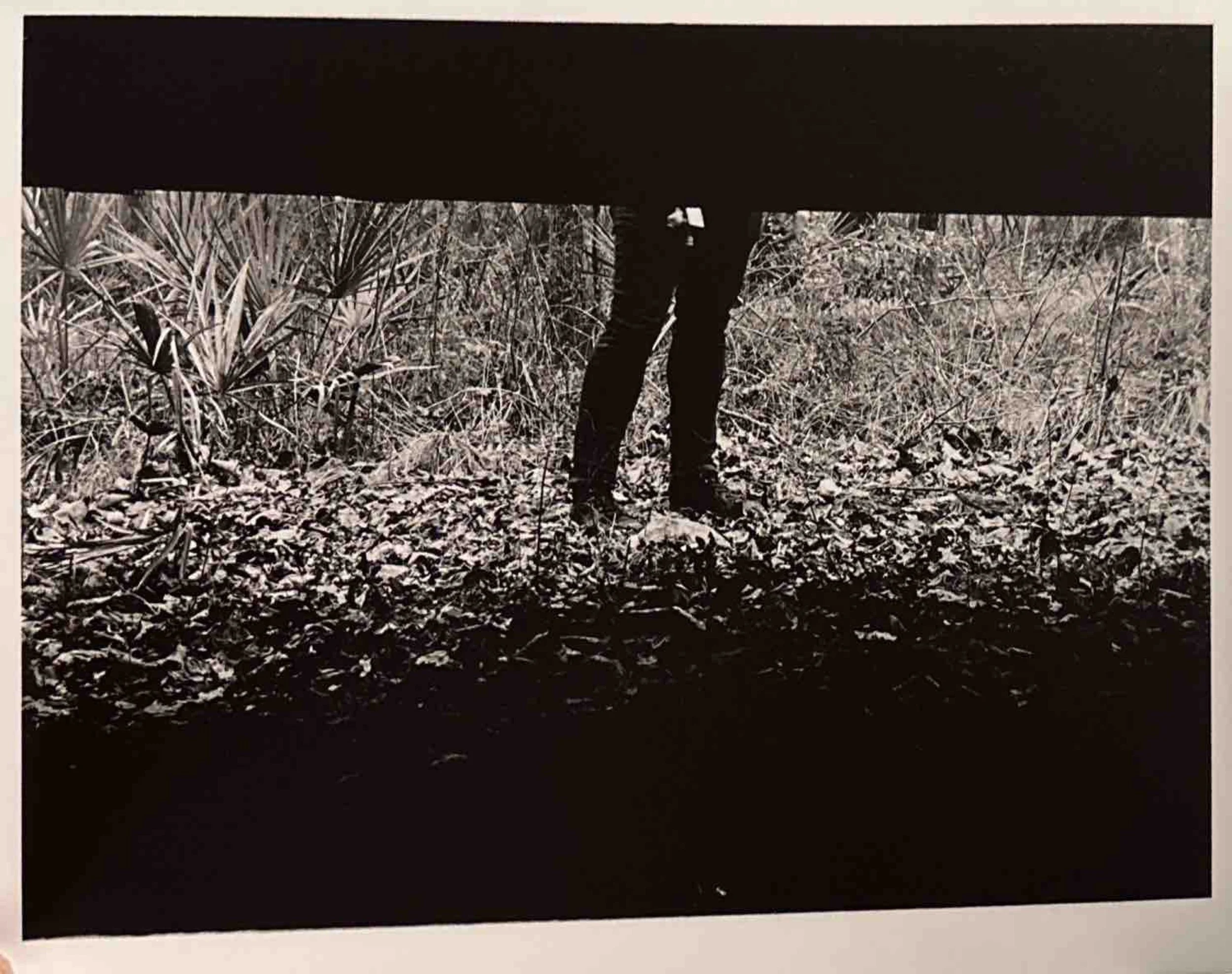 Photo taken from beneath a bridge or overpass. Shows the legs and feet of a person standing on leaf-covered ground in a wooded area. The person's upper body is obscured by the bridge or overpass.