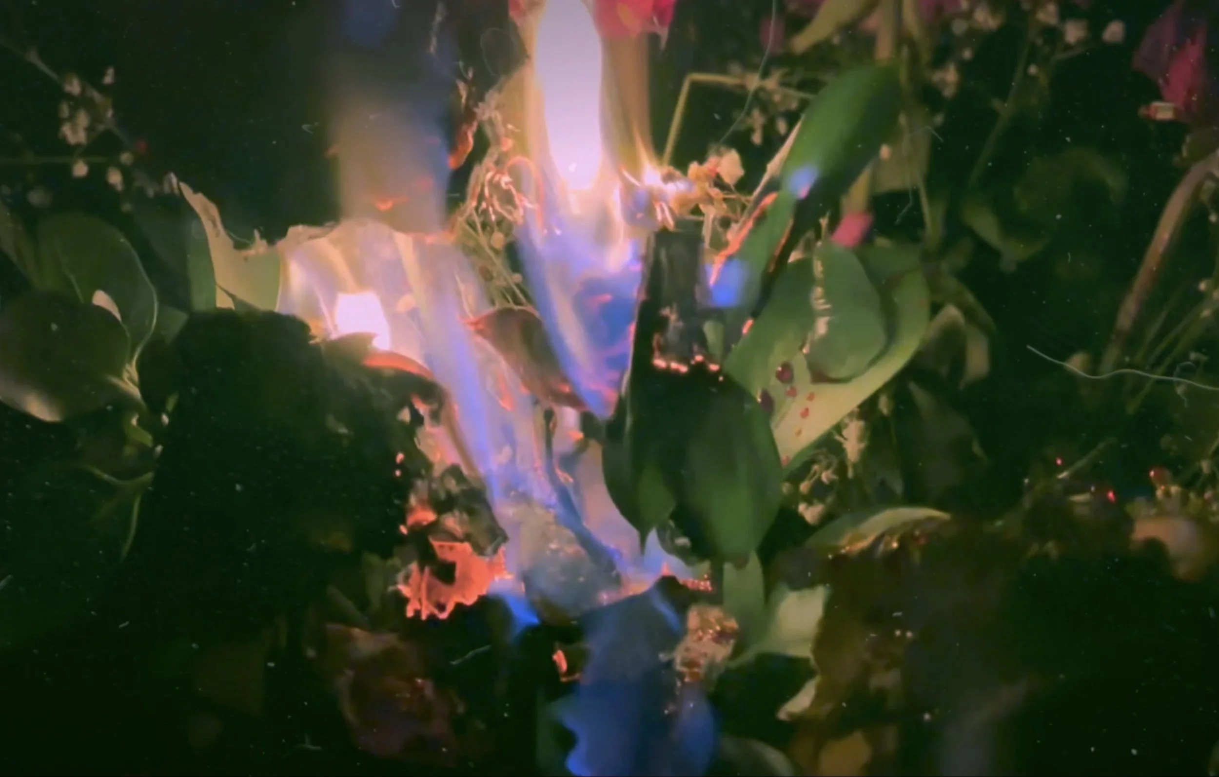 A close-up of a small fire ignited among green leaves and plants, with flames and smoke visible.
