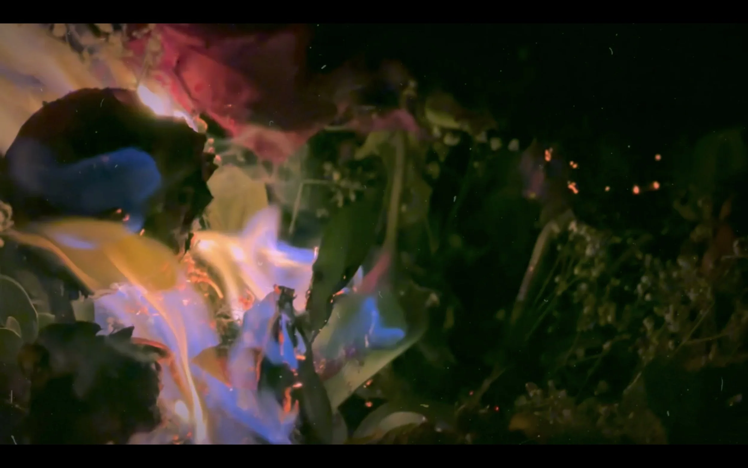 Abstract colorful swirling flames and smoke against a dark background.