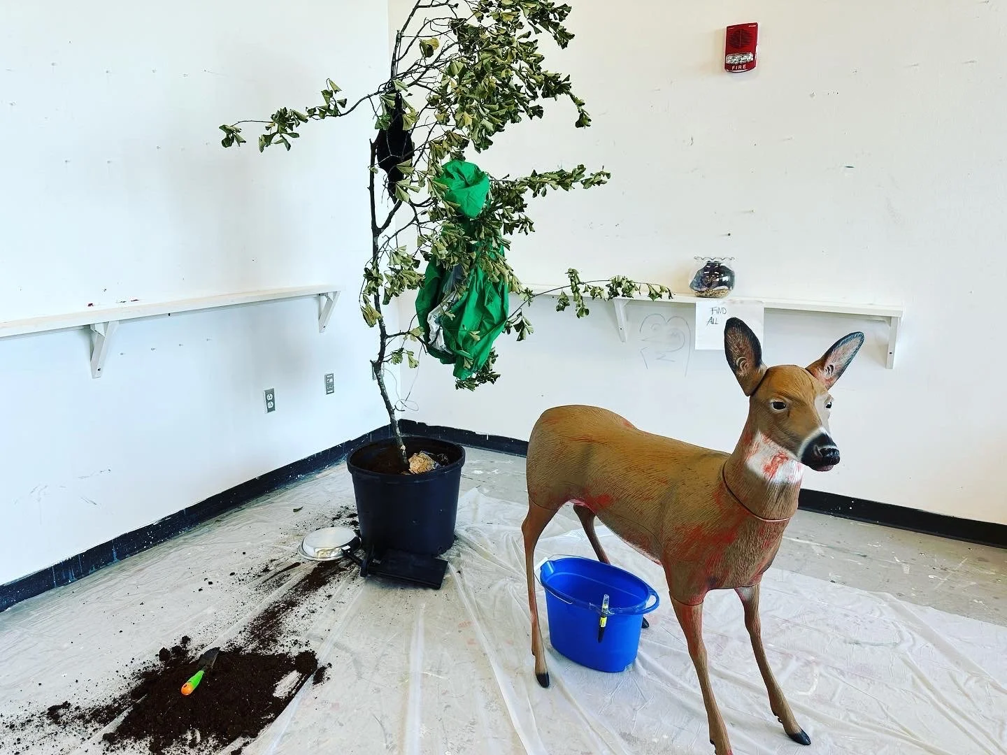 Interior of a room with a leafless potted tree, a wooden deer statue, a blue bucket, and soil spilled on the floor. There are shelves on the wall with paper and small objects, and a red fire alarm. The room appears to be set up for plant or animal display or care.