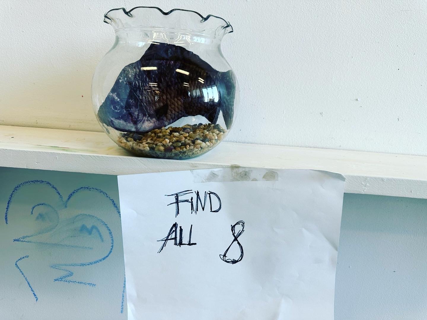 A fishbowl with a large black fish inside, placed on a white shelf against a white wall. A handwritten sign below the shelf reads 'FIND ALL 8' with a drawn infinity symbol.