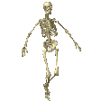 skeleton-charborg.gif