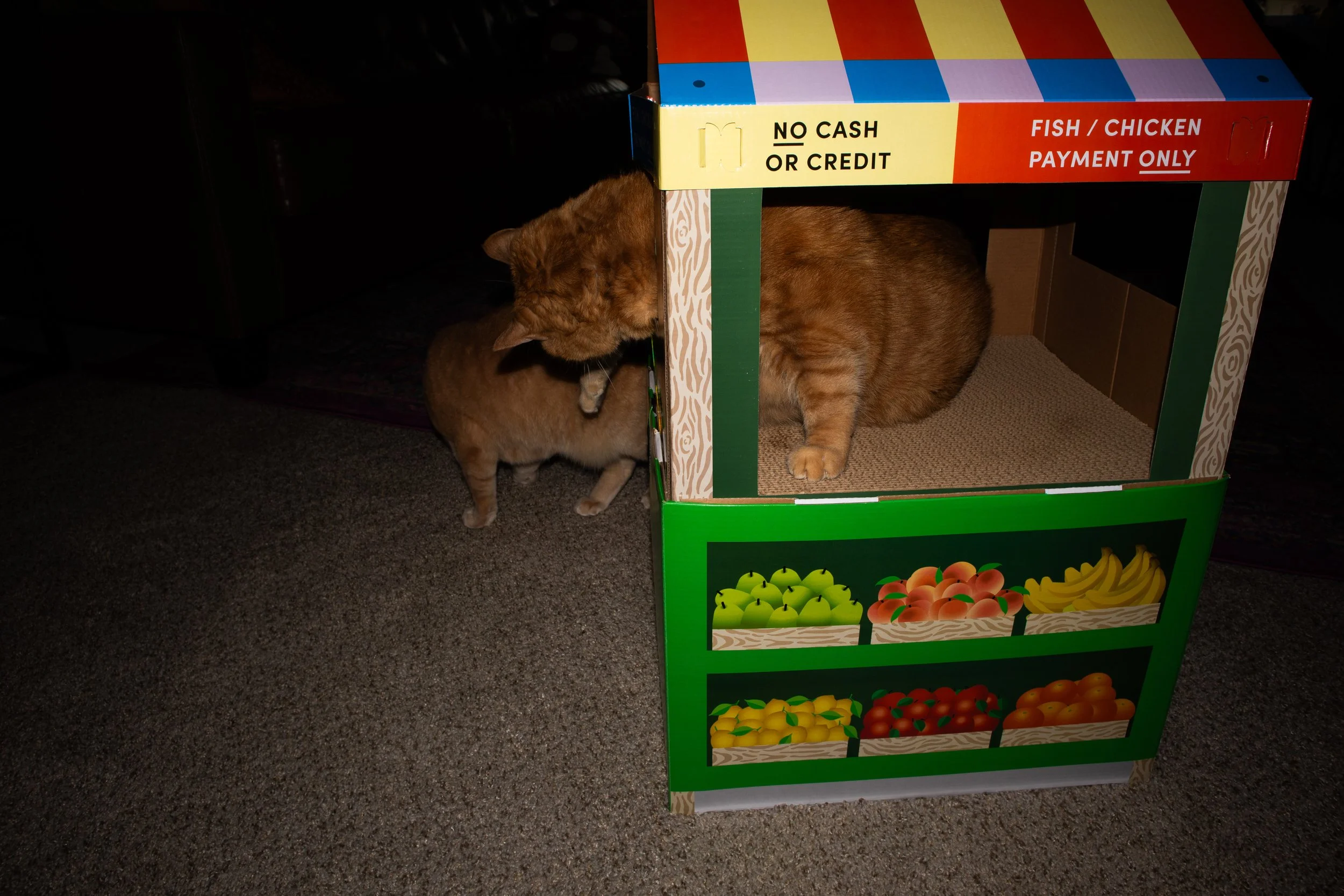 ProduceHouse-5.jpg