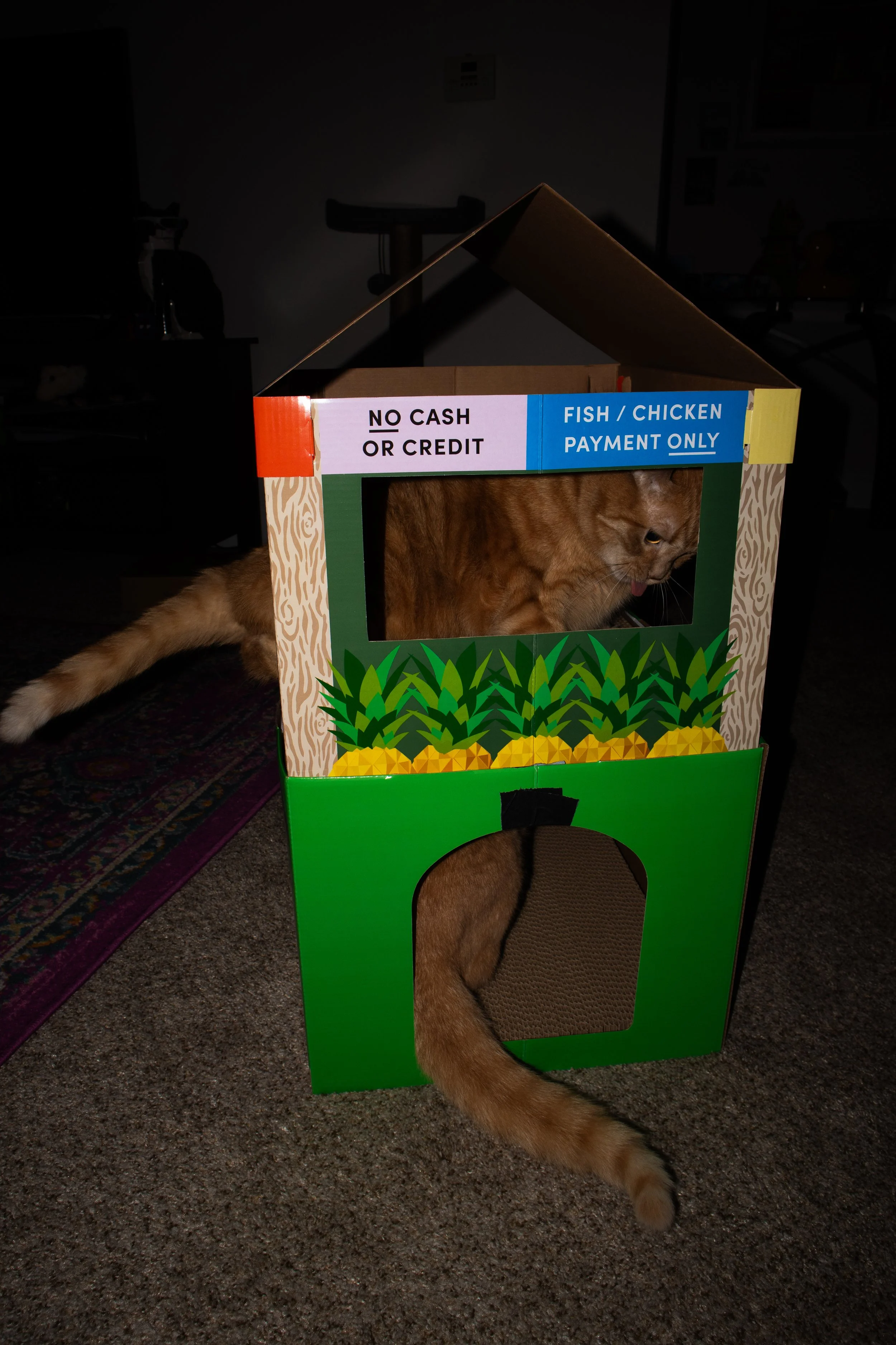 ProduceHouse-11.jpg