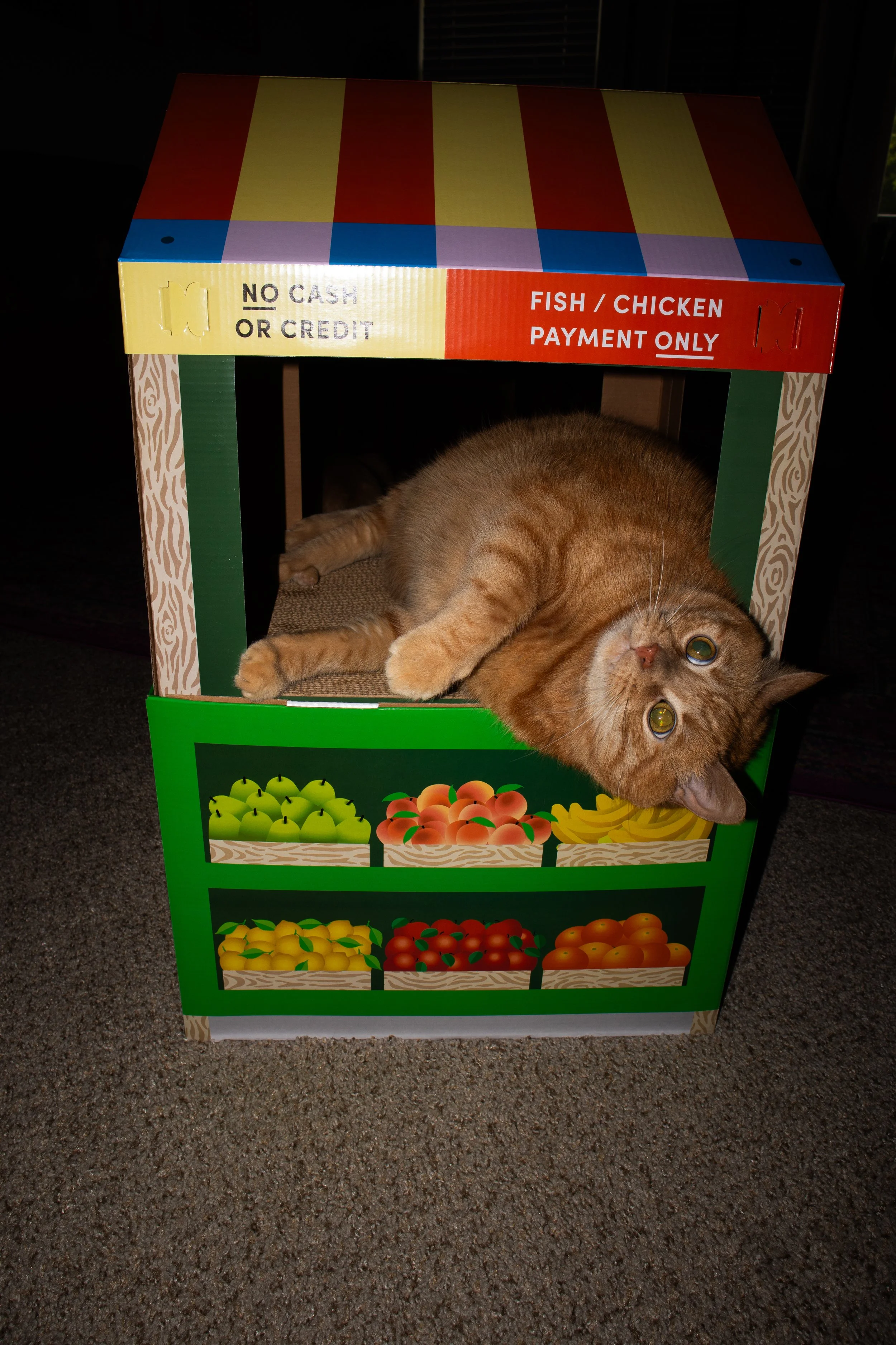 ProduceHouse-4.jpg