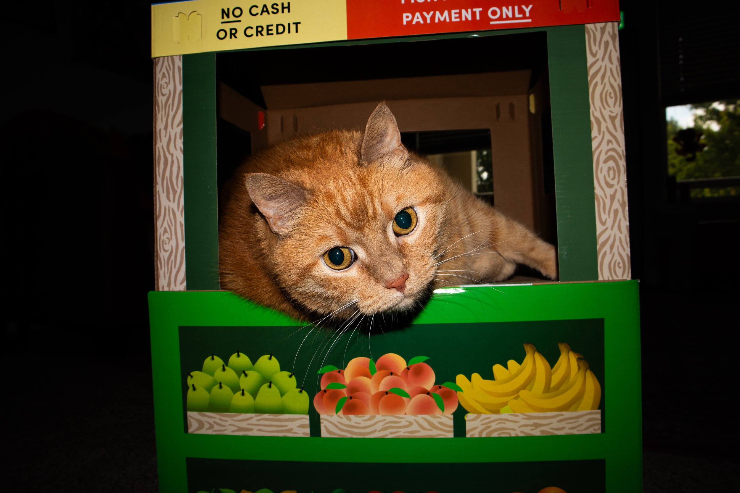 ProduceHouse-2.jpg