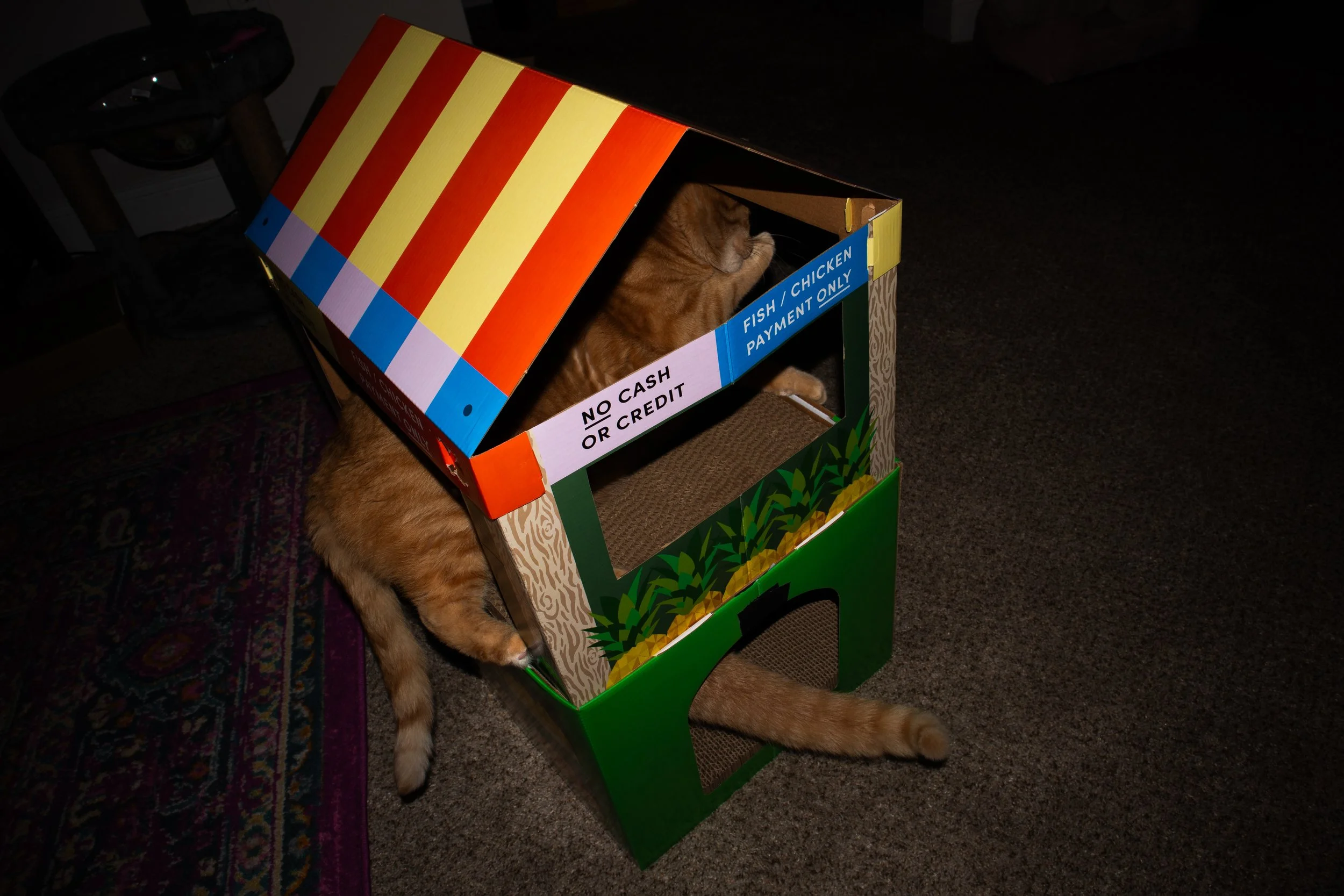 ProduceHouse-10.jpg