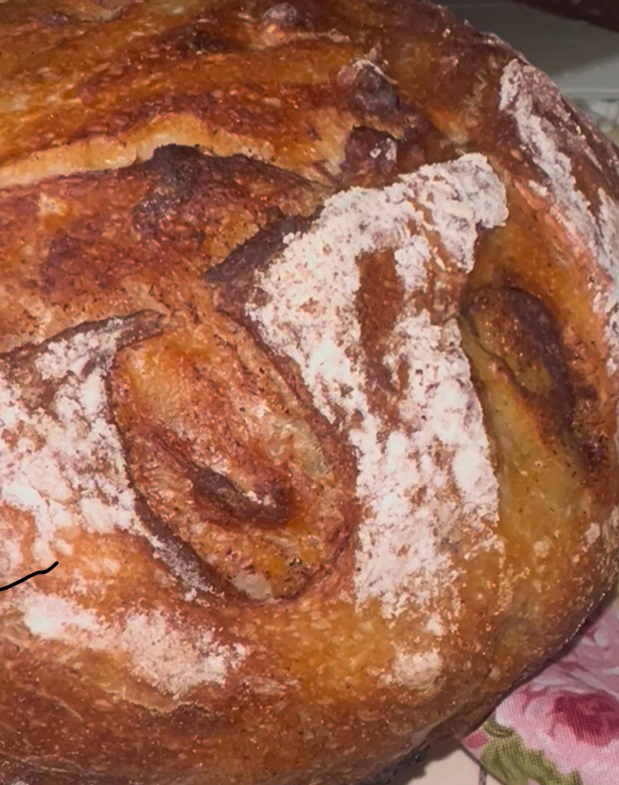 Cinnamon Swirl Sourdough