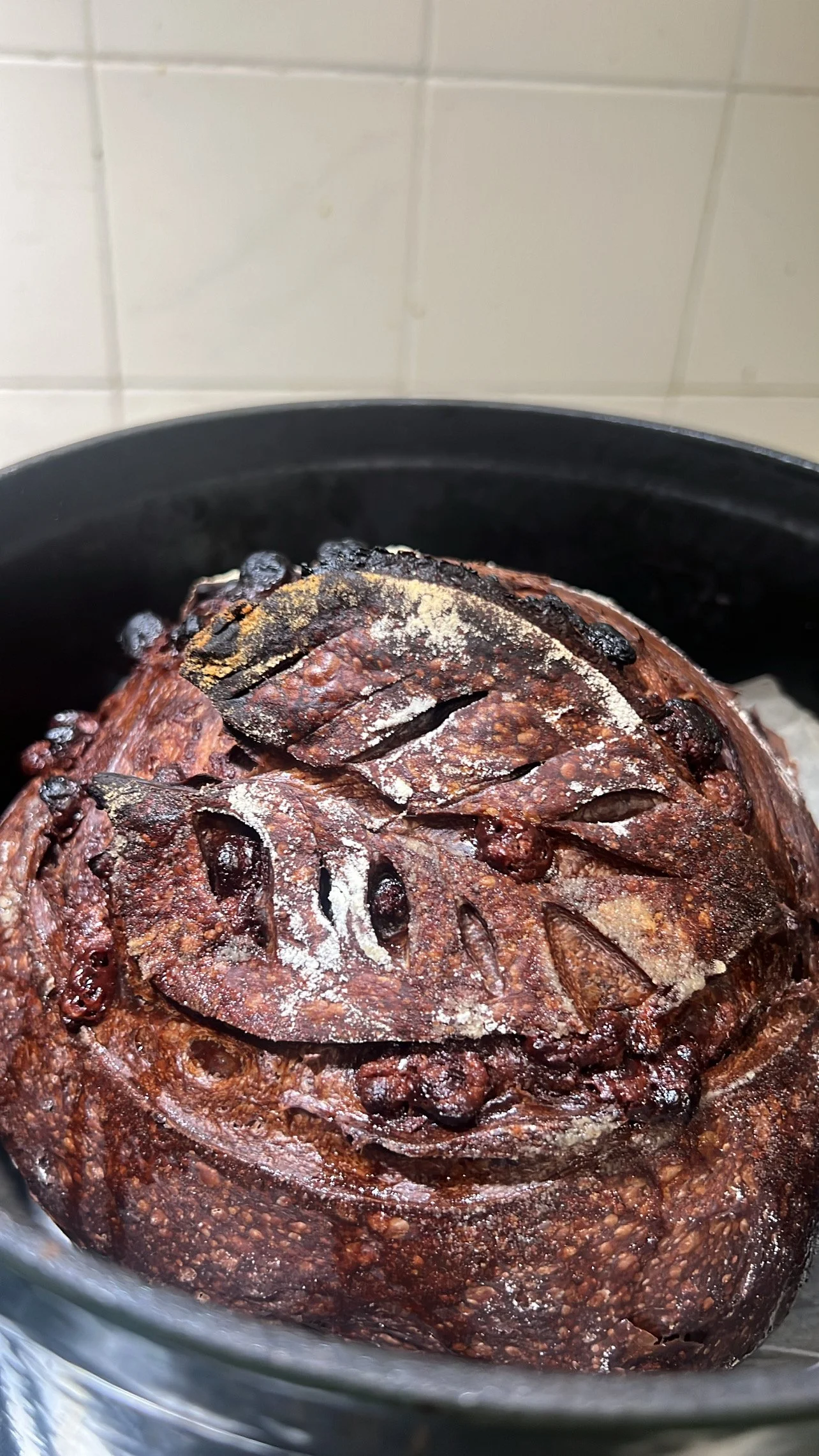 🍫 Double Chocolate Artisan Sourdough