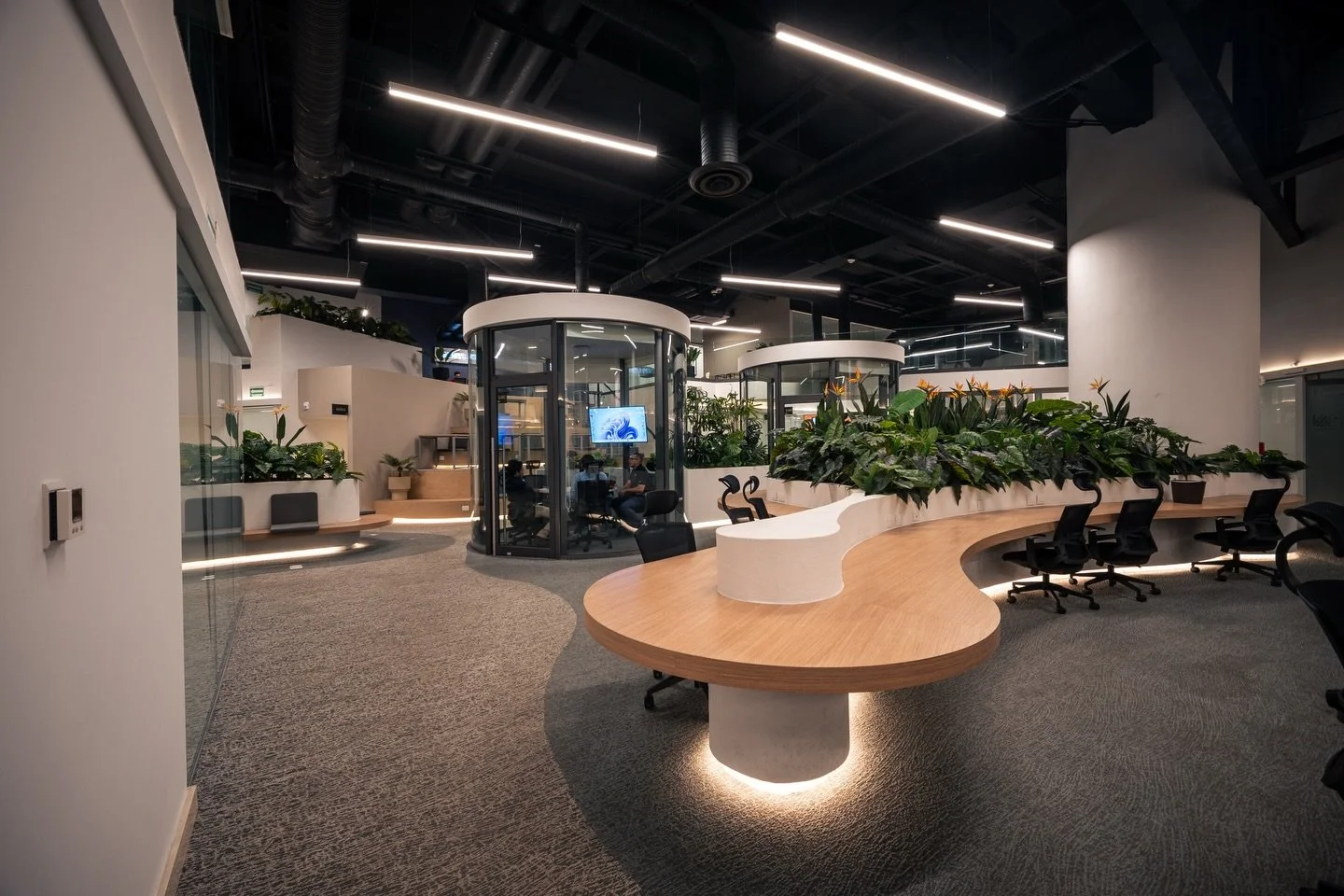 COW OR KING 
Bespoke Photography 📸

#archdigest #archphotography #coworkingspace #fotografiaarquitectura #ariquitectura