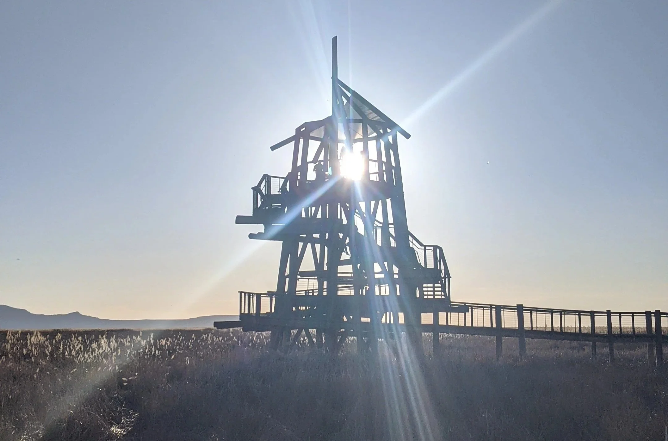Wedding Hot Takes
