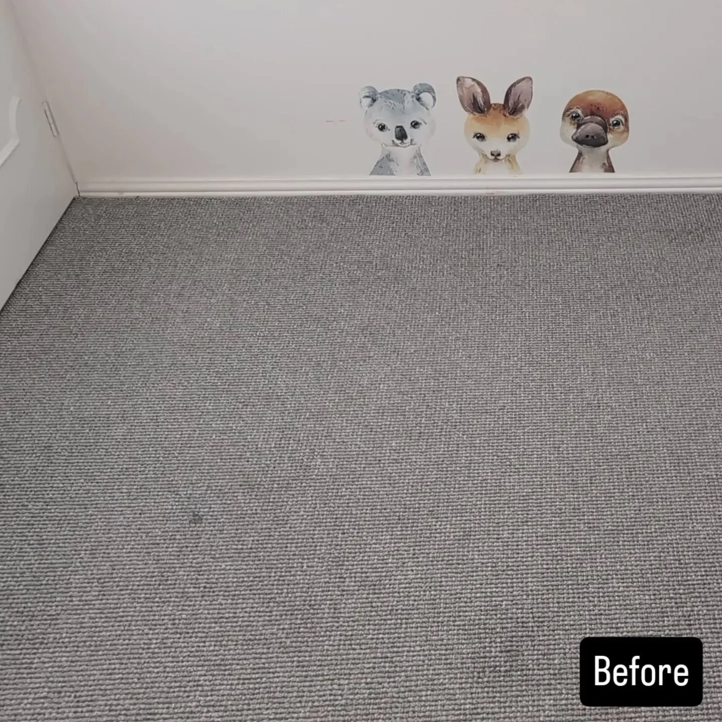 Little feet, big messes! 👣
Dust and allergens can build up over time, while spills and stains become part of the carpet.
A professional deep clean creates a safer, healthier space for the kids - and peace of mind for you.