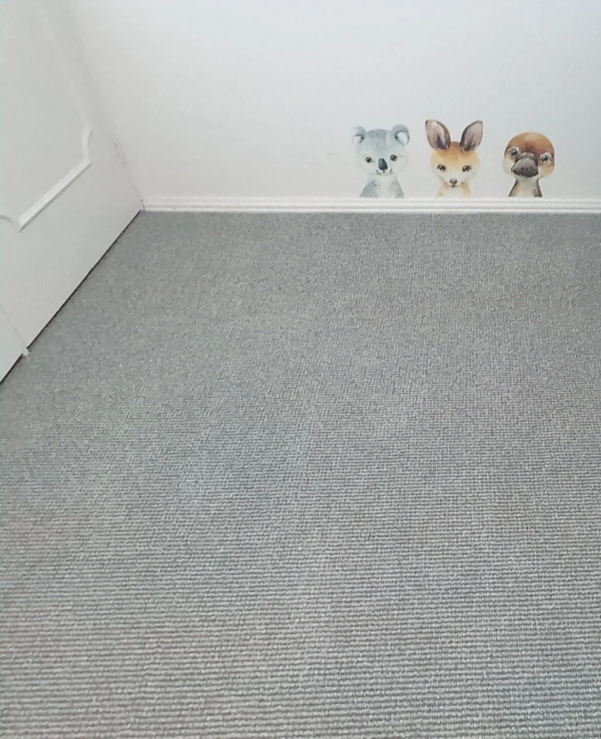 After photo of a carpet clean of a childs room