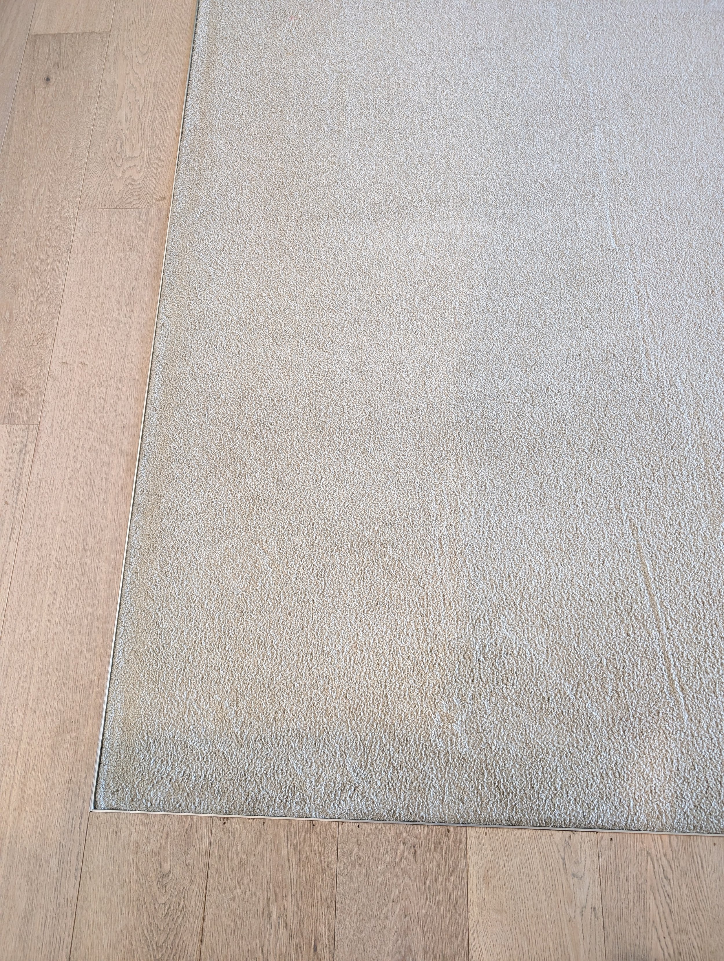 After photo of a carpet clean