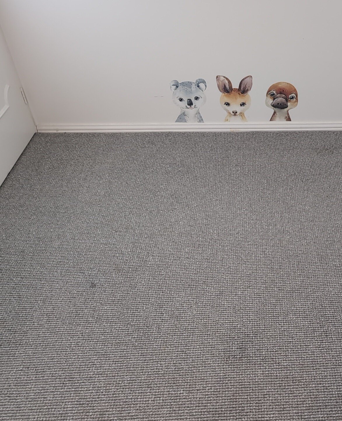 Before photo of a carpet clean of a childs room