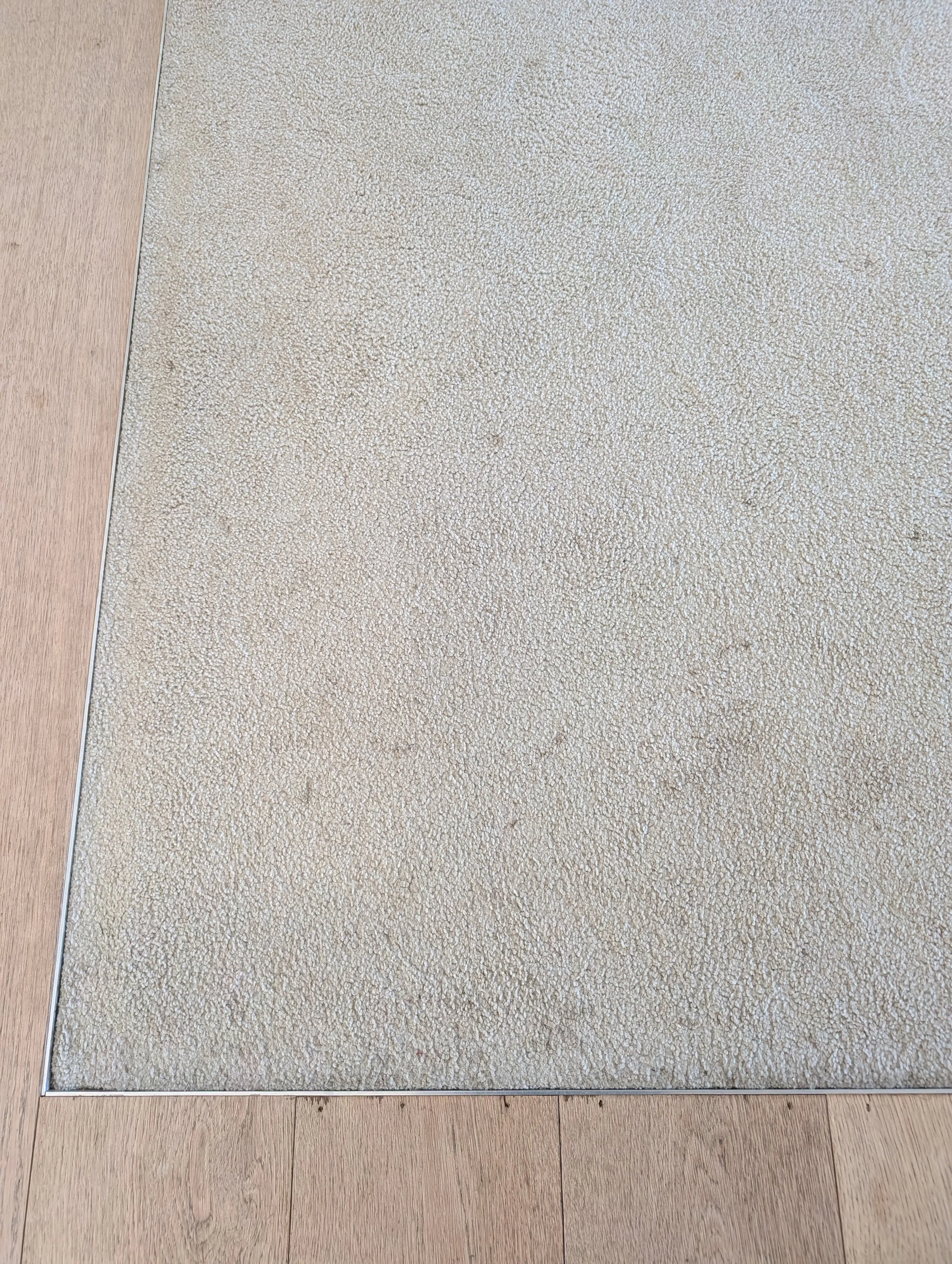 Before photo of a carpet clean