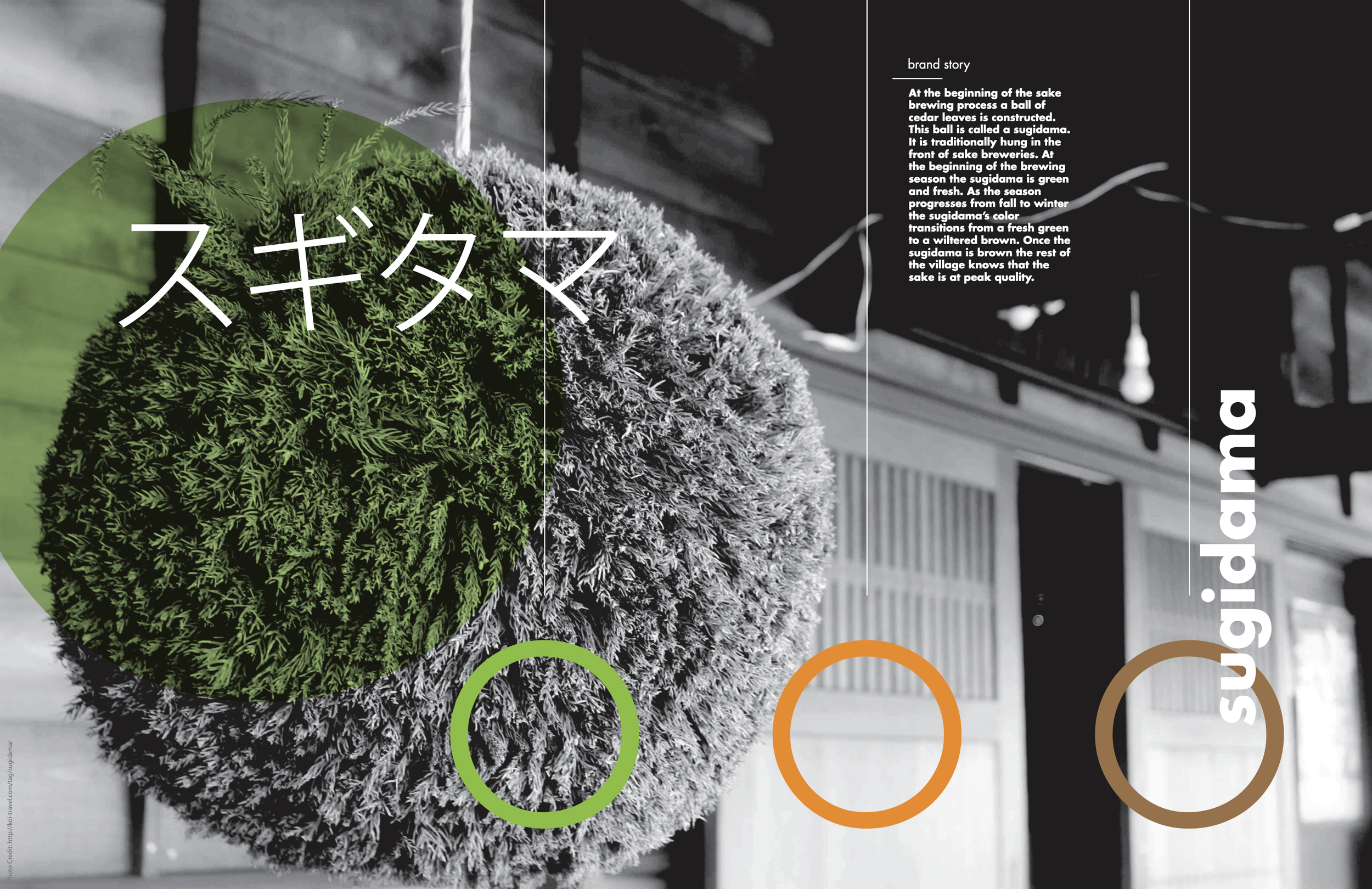 Screenshot 2026-03-12 at 9.01.37 PM.png