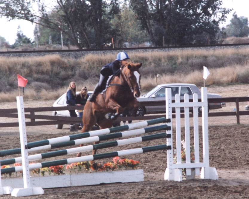 Horse and rider jumping over a hurdle during an equestrian event.
