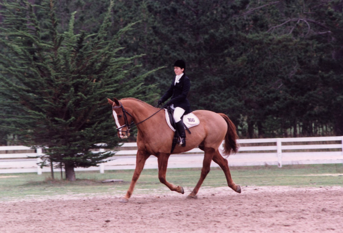 A woman dressed in formal equestrian attire riding a chestnut horse in an outdoor riding arena with a white fence and green trees in the background.