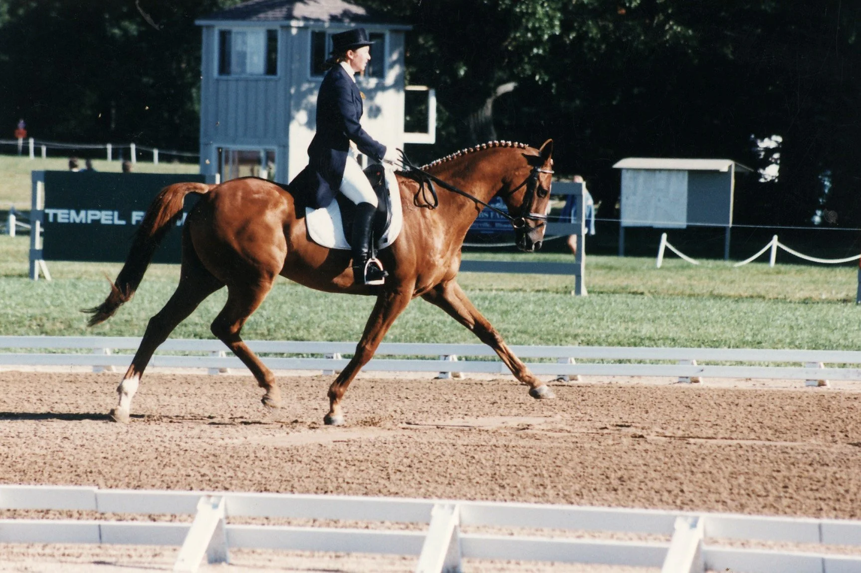 A person dressed in formal riding attire with a top hat riding a brown horse on a dressage arena.