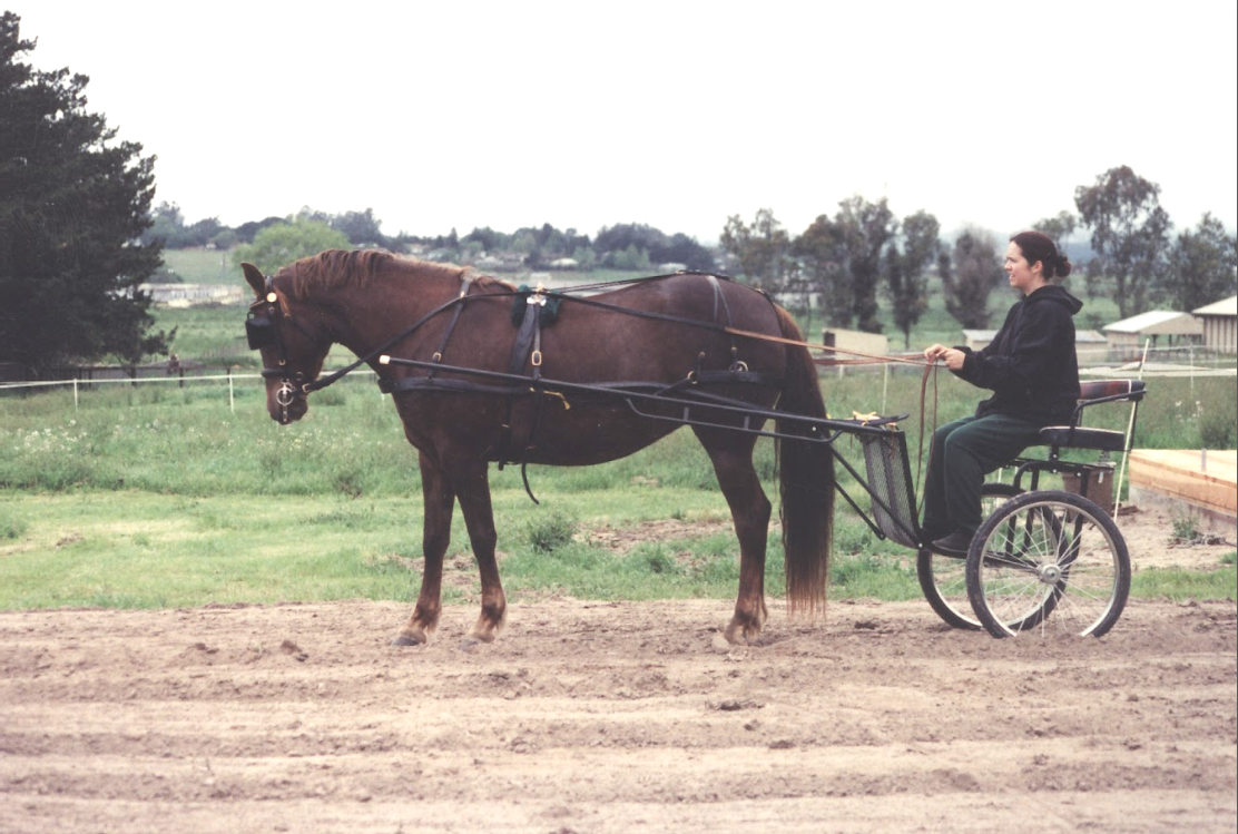 A woman riding in a horse-drawn cart on a dirt path in a rural area.