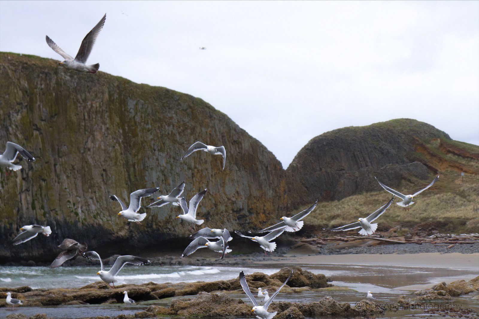 eZy Watermark_28-03-2019_09-09-48AM.jpg