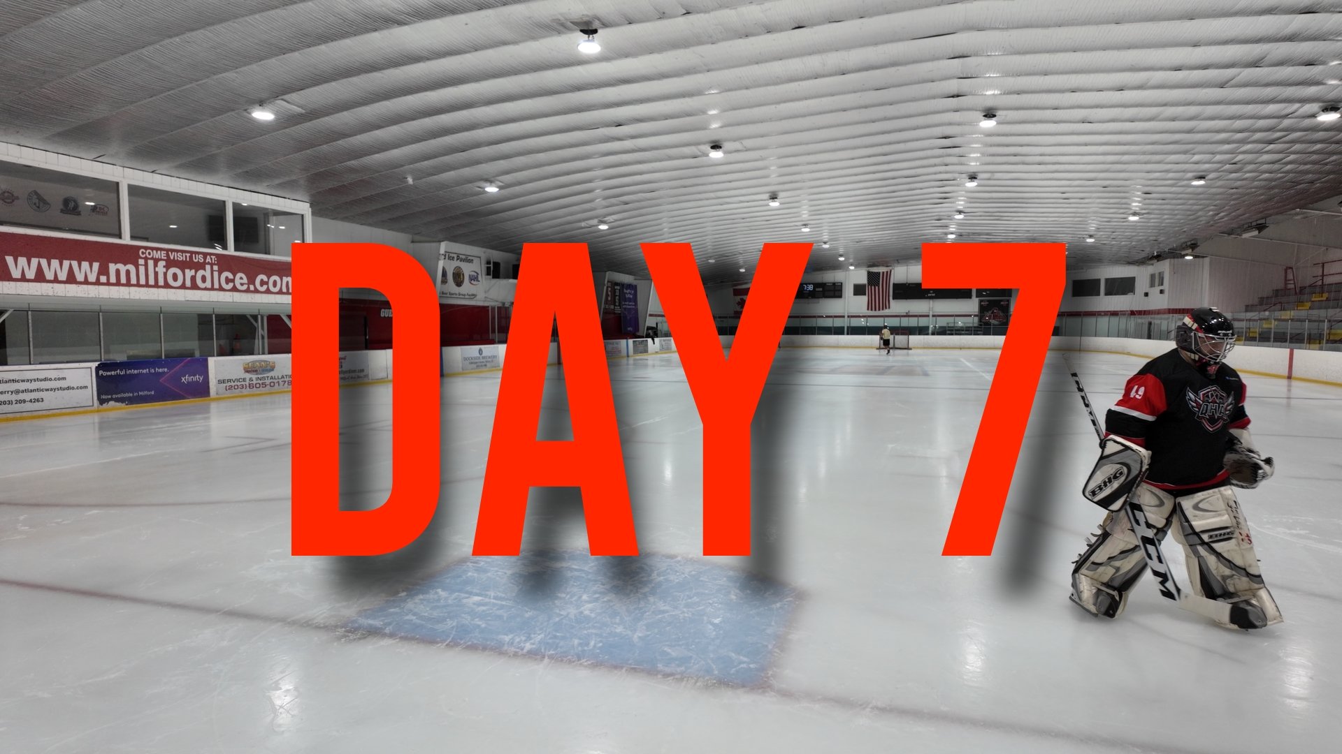 DAY 7