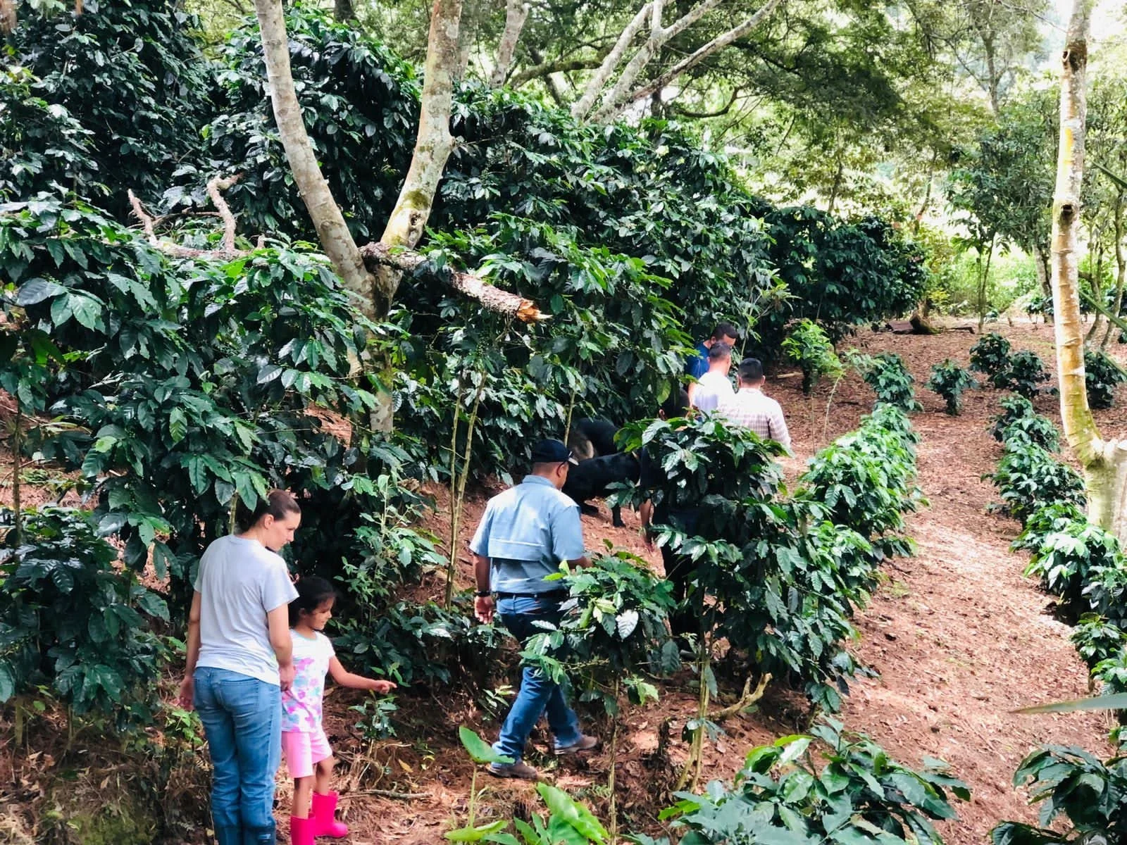 Hiking at the Demonstration Farm
