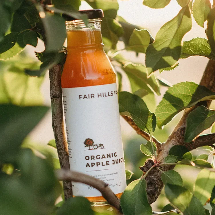 FairHillsFarm-05-v2.webp