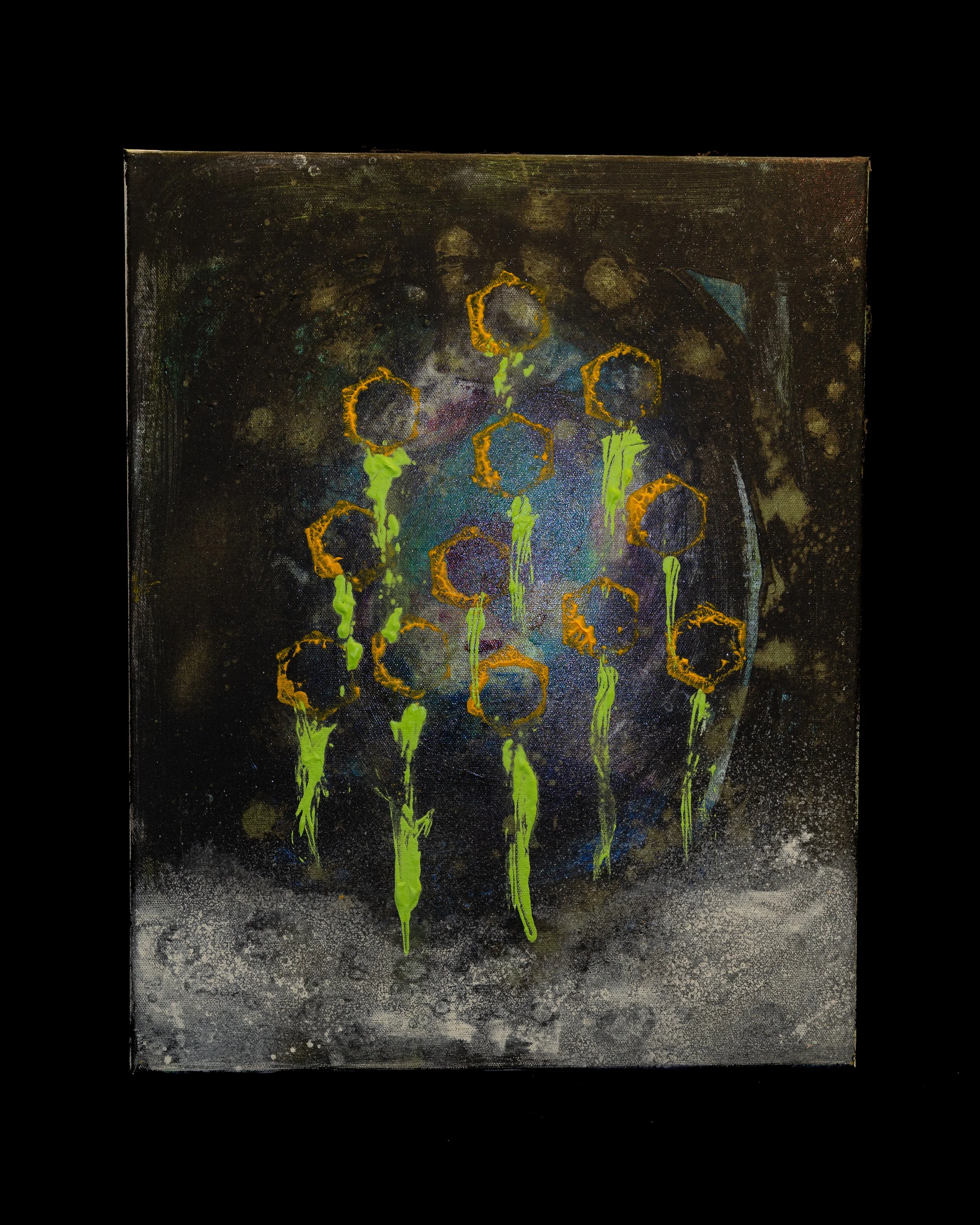 Von Pete-oh's Rosas Collection #8