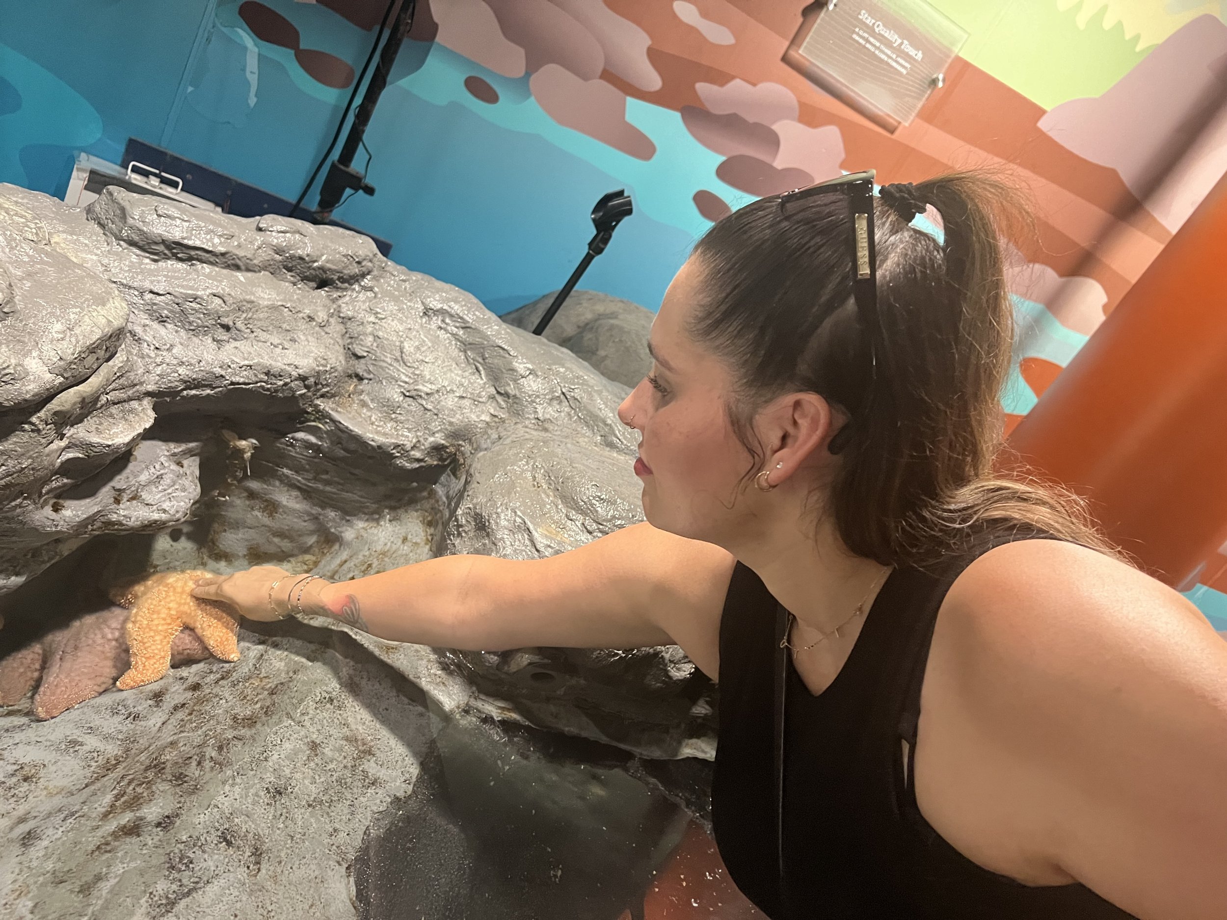 Shedd Aquarium in Chicago, IL USA