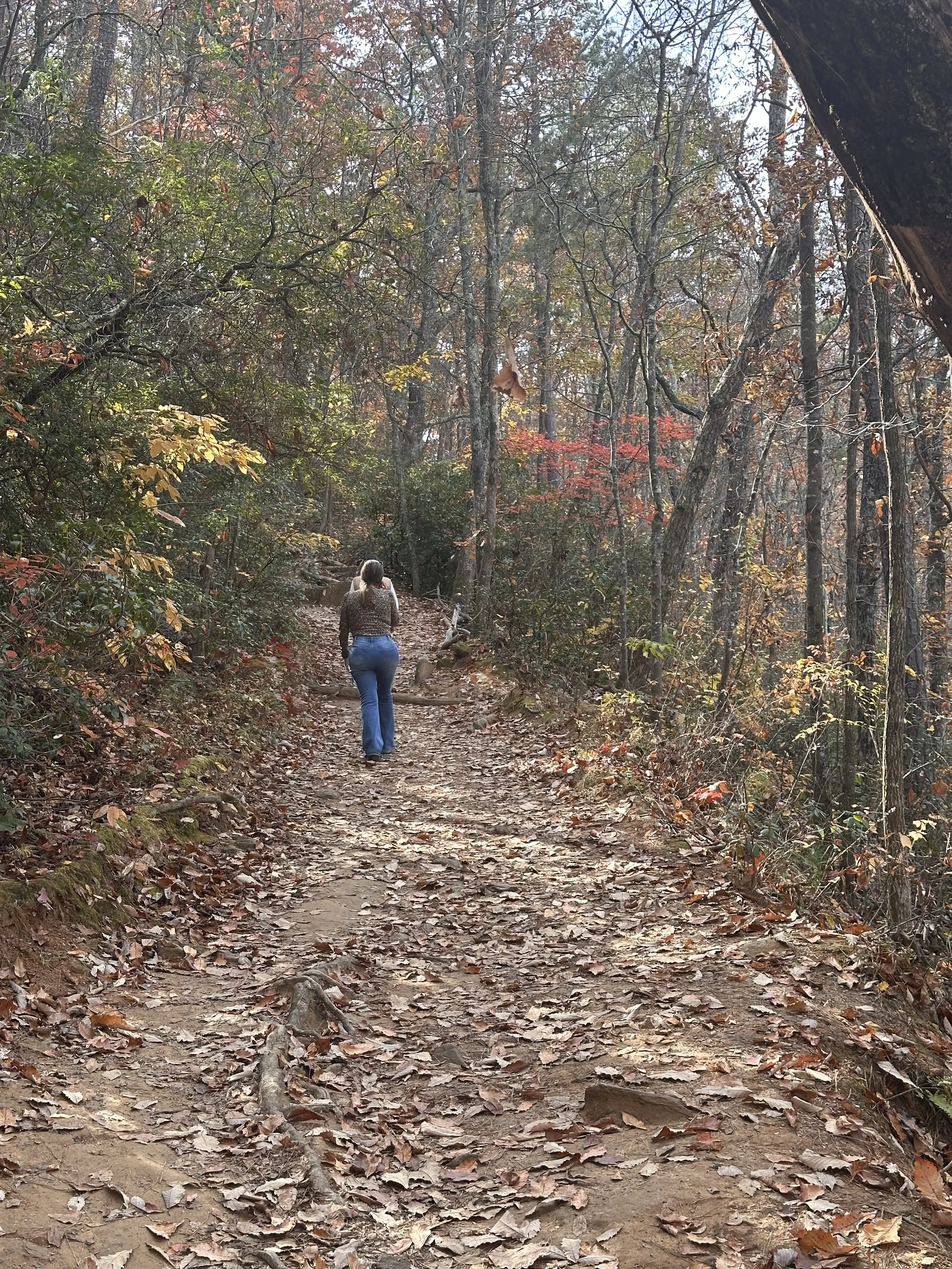 Atlanta, Georgia USA