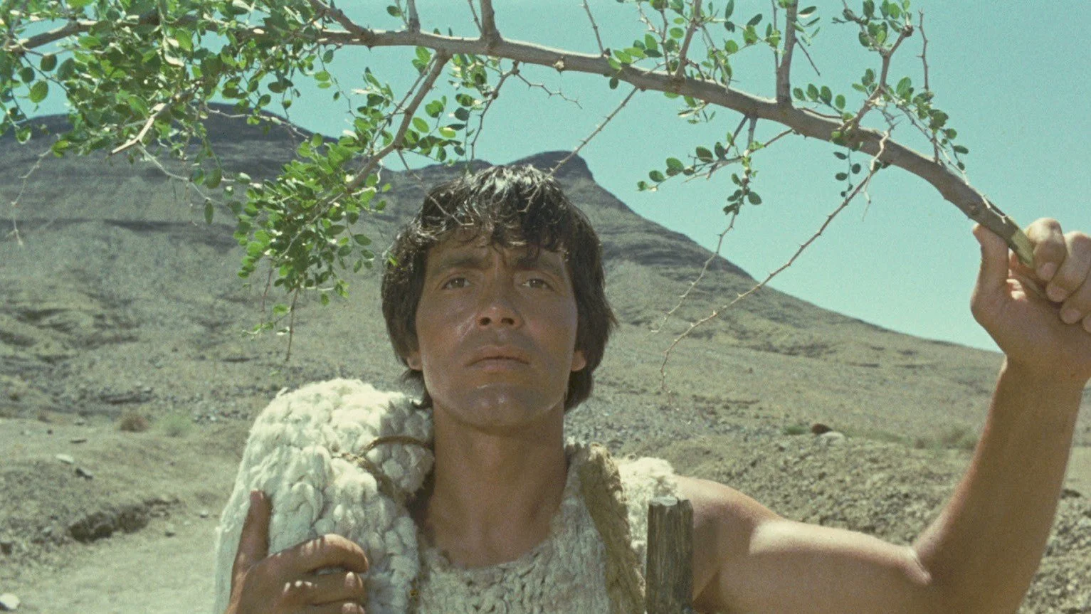 Pasolini Oedipus Rex