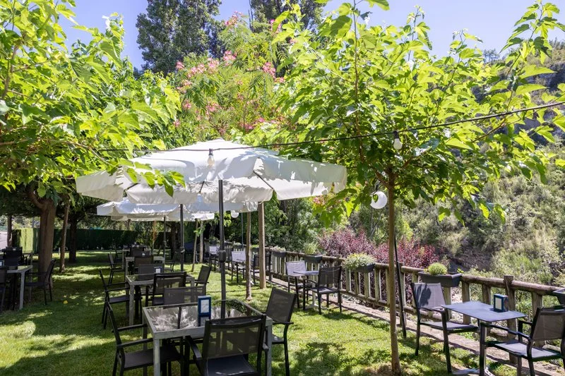 Mesas y sillas en un área al aire libre con sombra de árboles, en un ambiente natural y tranquilo.