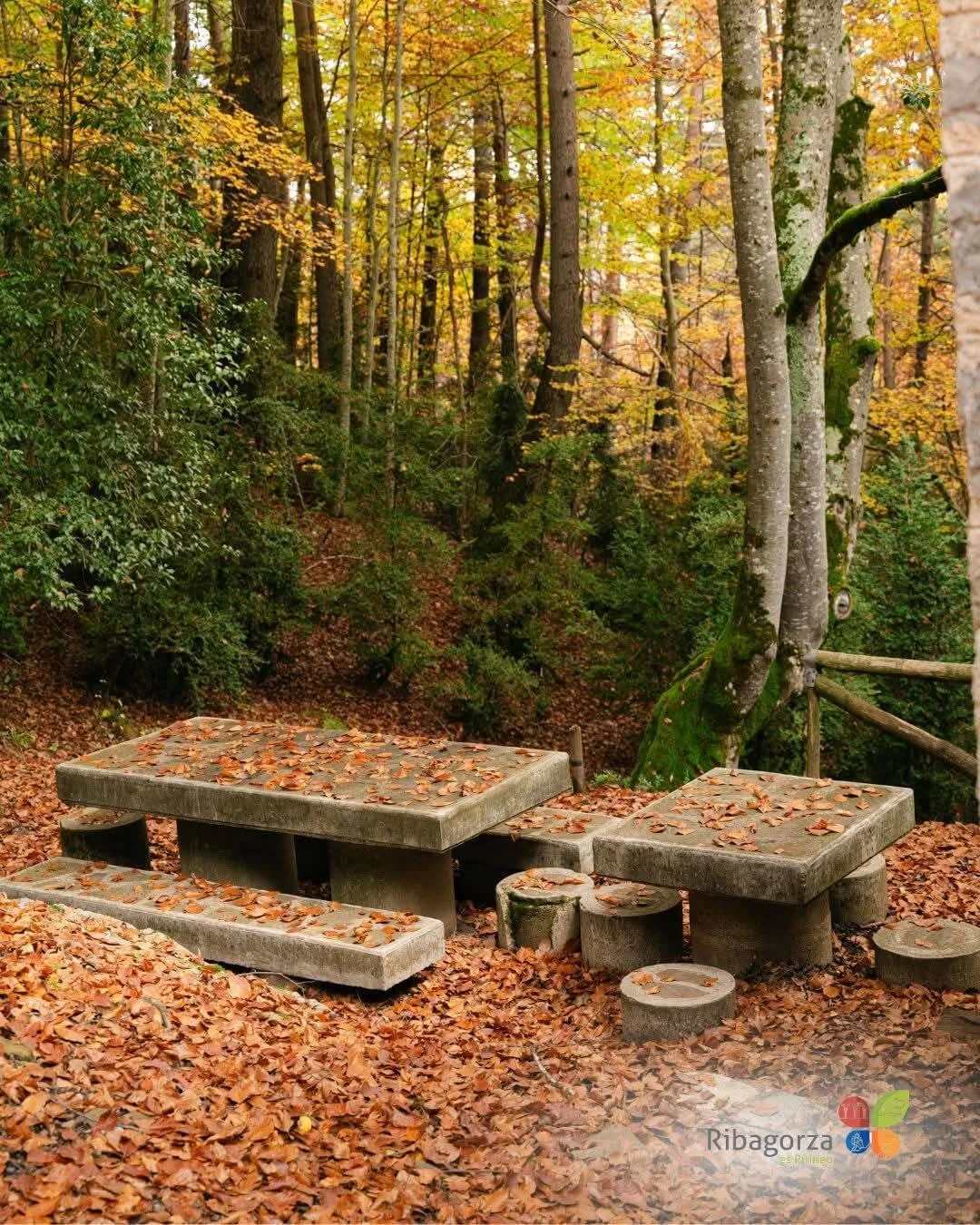 Un fin de semana mágico en la Ribagorza: Bosque de Ansuilo y Bosque de las Brujas de Laspaúles