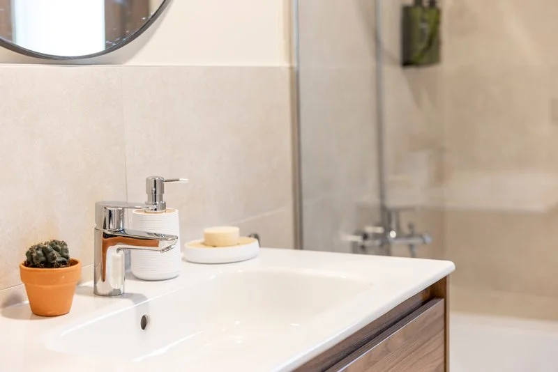 Lavabo de baño con un pequeño cactus en una maceta de terracota, un dispensador de jabón, una pastilla de jabón en un plato y un espejo redondo encima.